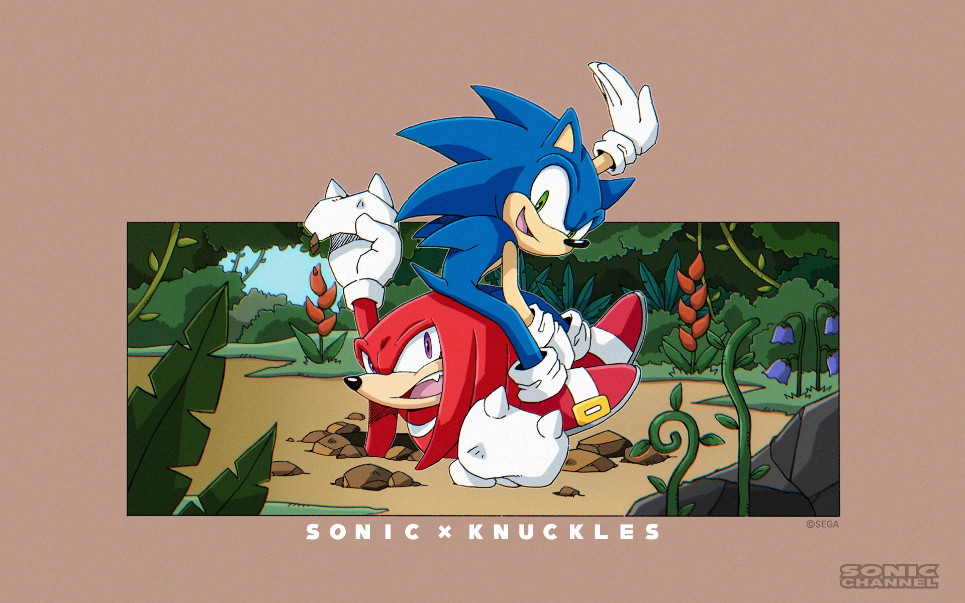 Knuckles Premium 4K Desktop Wallpaper