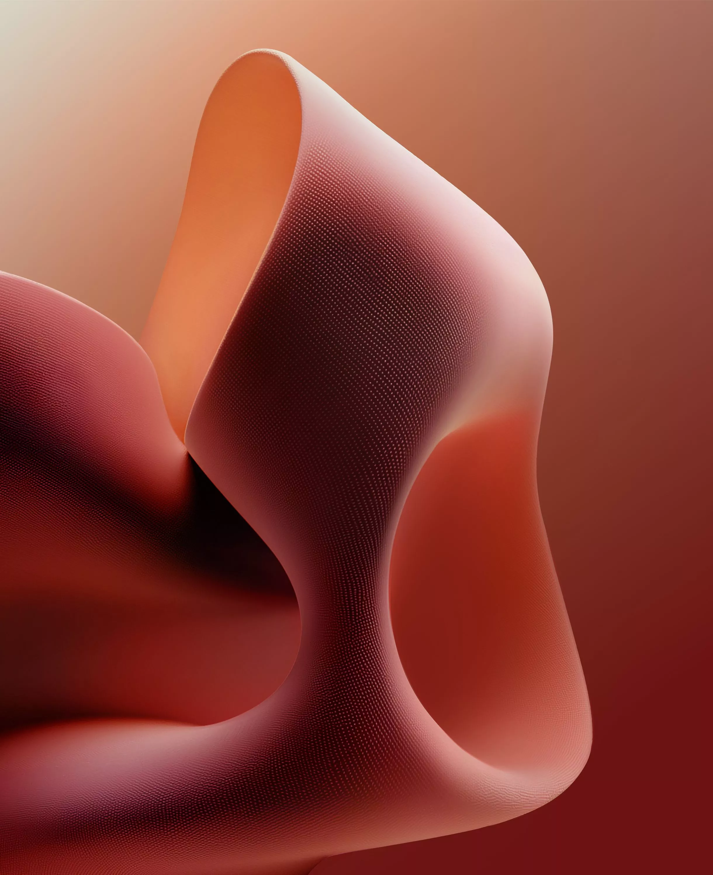 Motorola Razr+ 2025 wallpaper