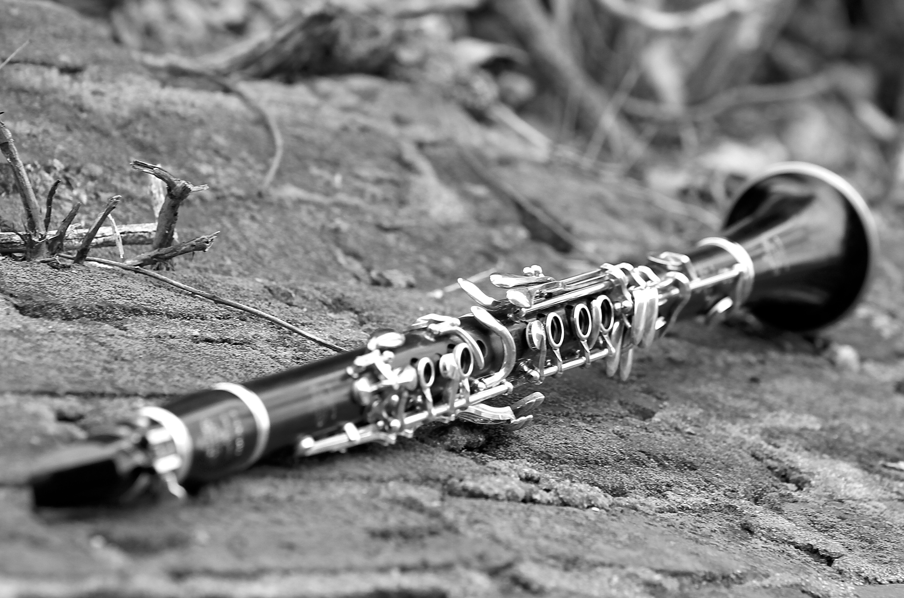 Virtual clarinet scavenger hunt