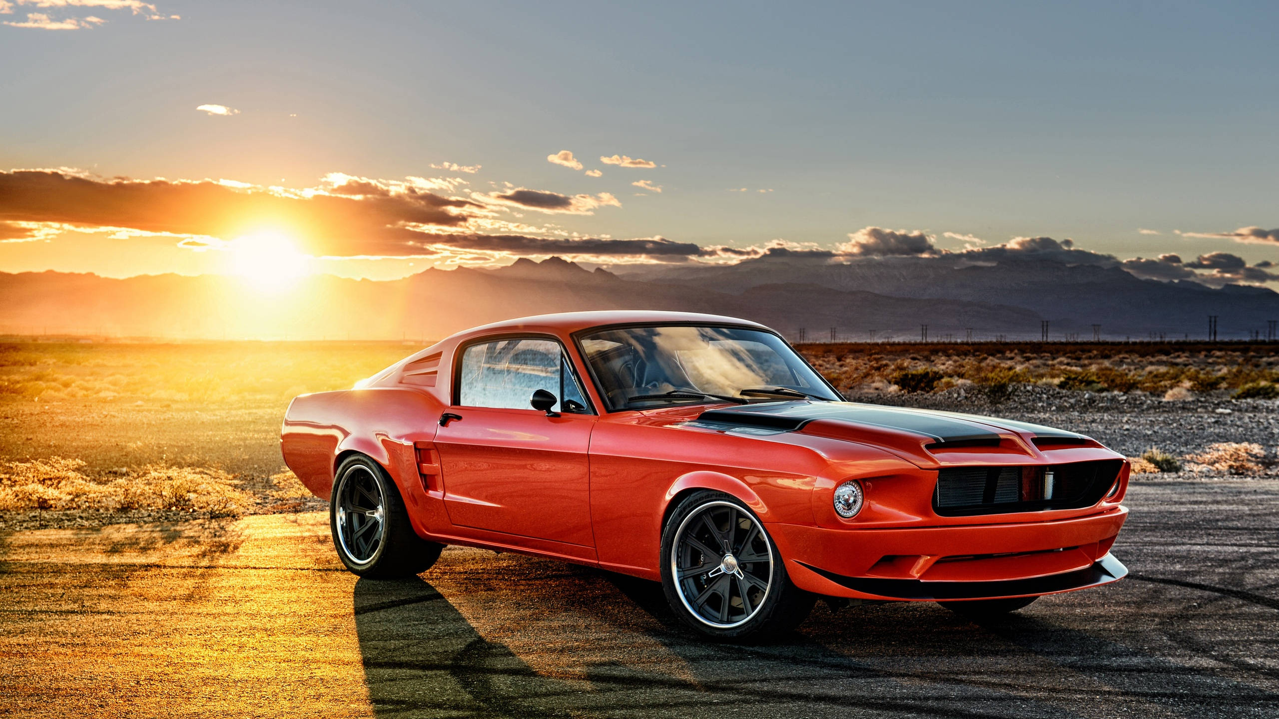 Muscle Car Wallpaper