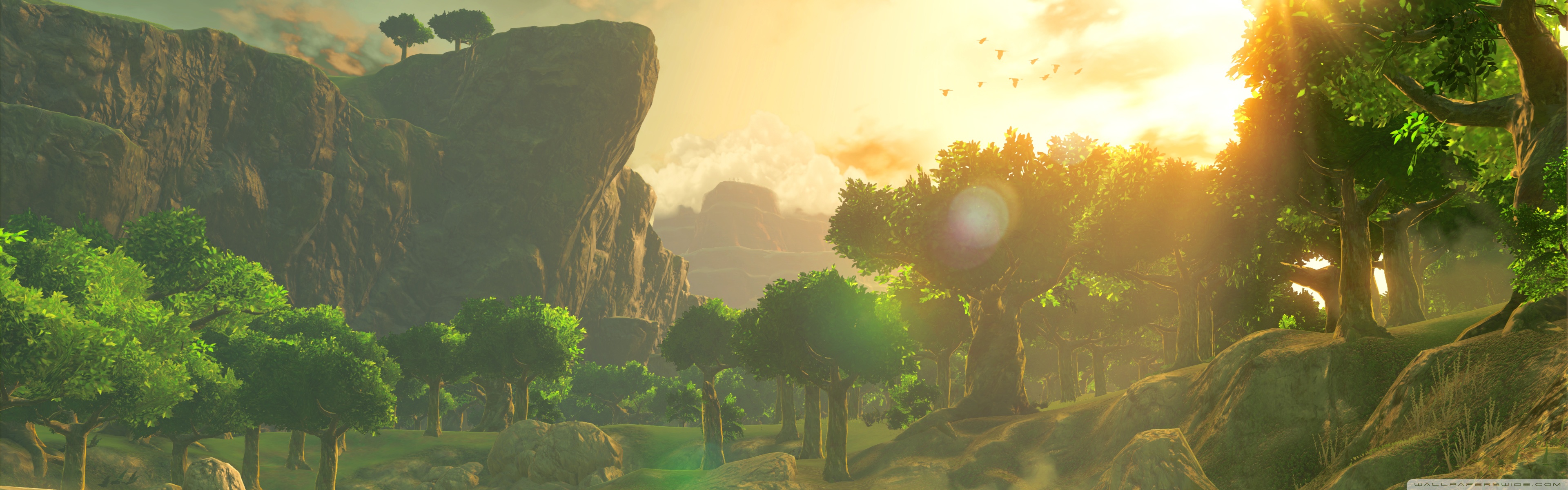 Wild Screenshot 4K UHD Wallpaper