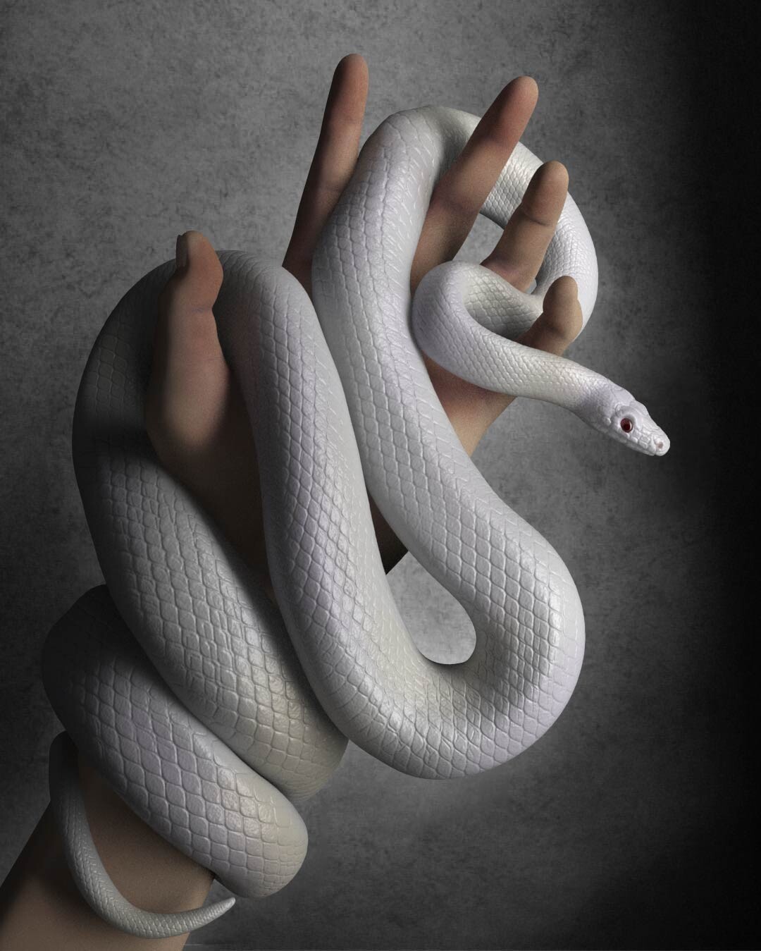 Laura Mora snake rendering
