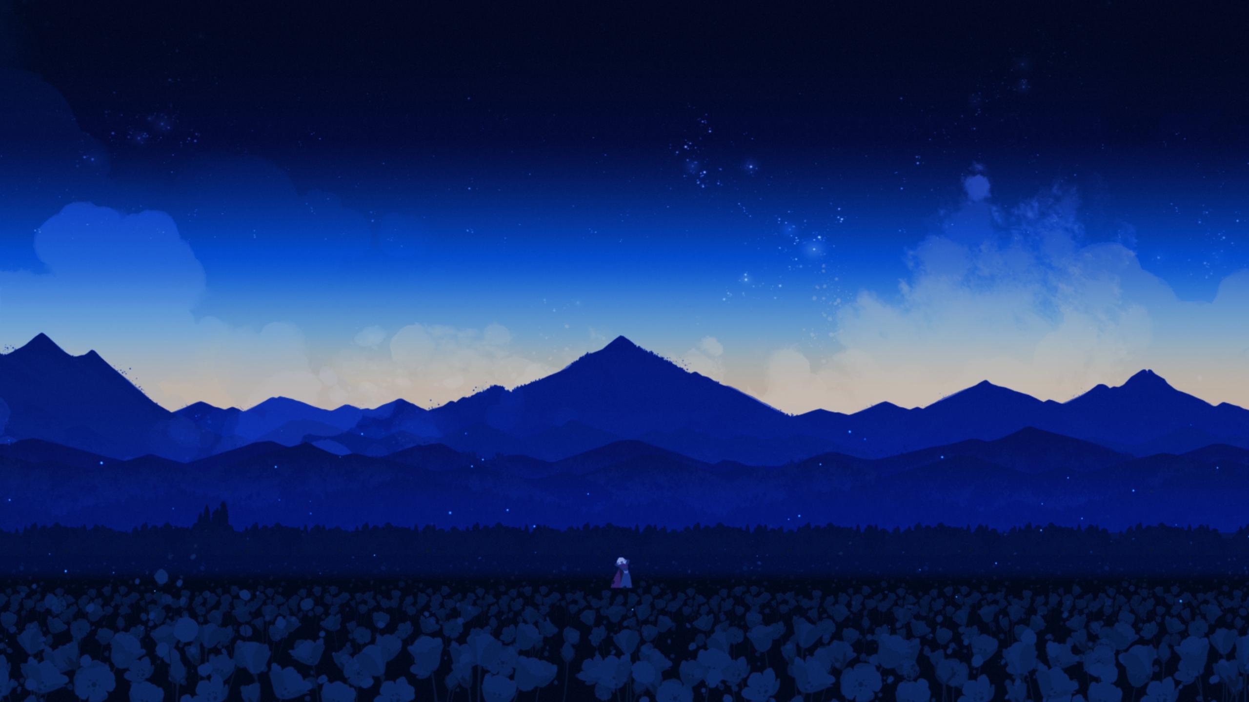 Neva: night time landscape 2560x1440