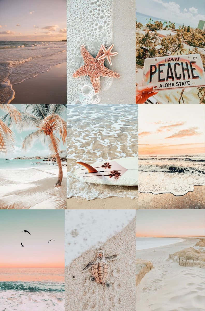 Download Preppy Beach Aesthetic Collage