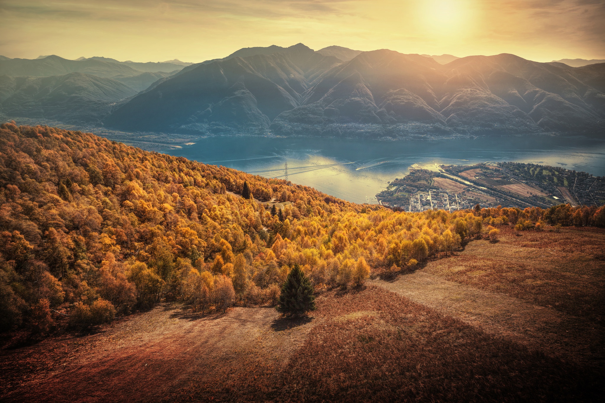 Wallpaper autumn, forest, sunset