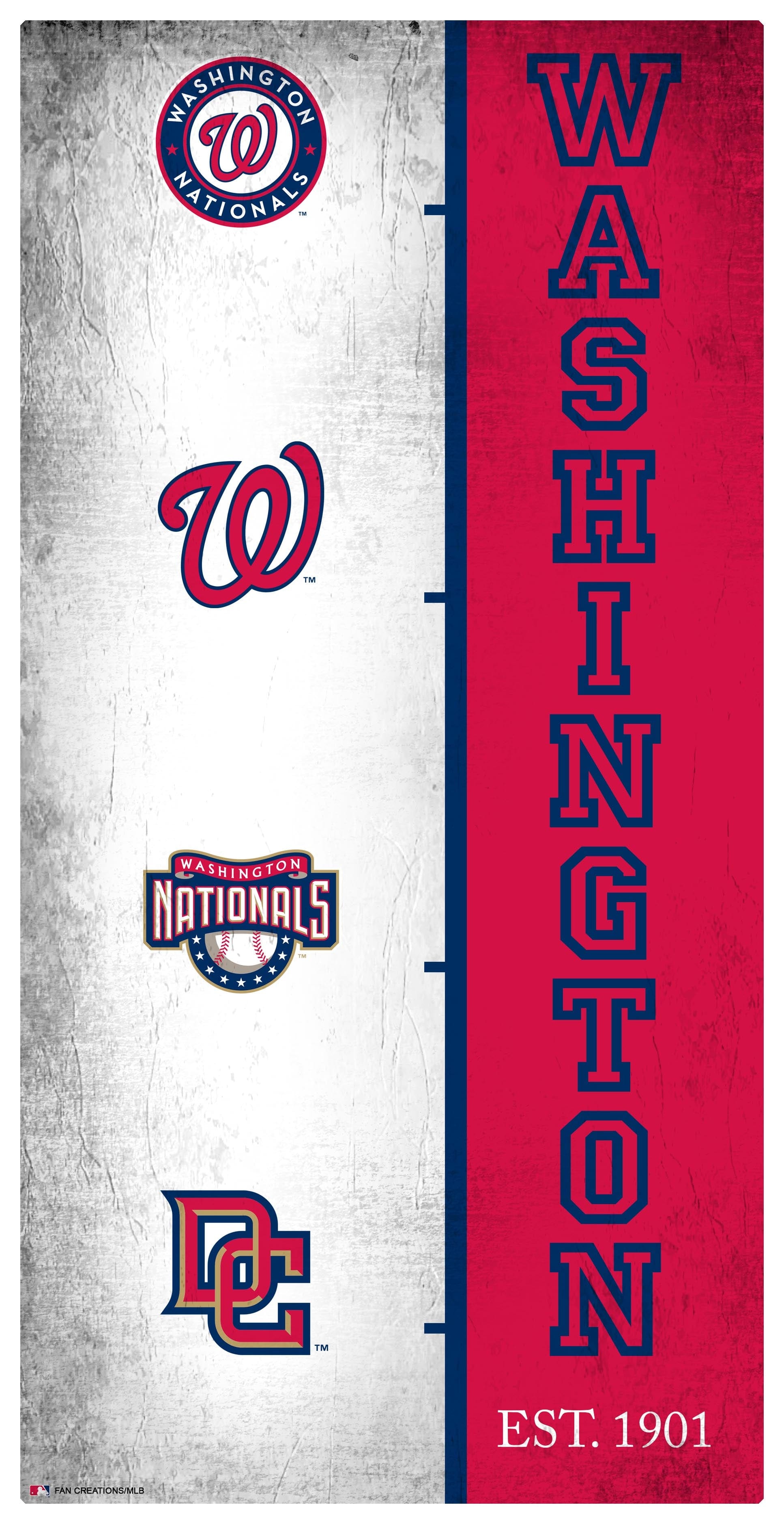 Washington Nationals Team Logo