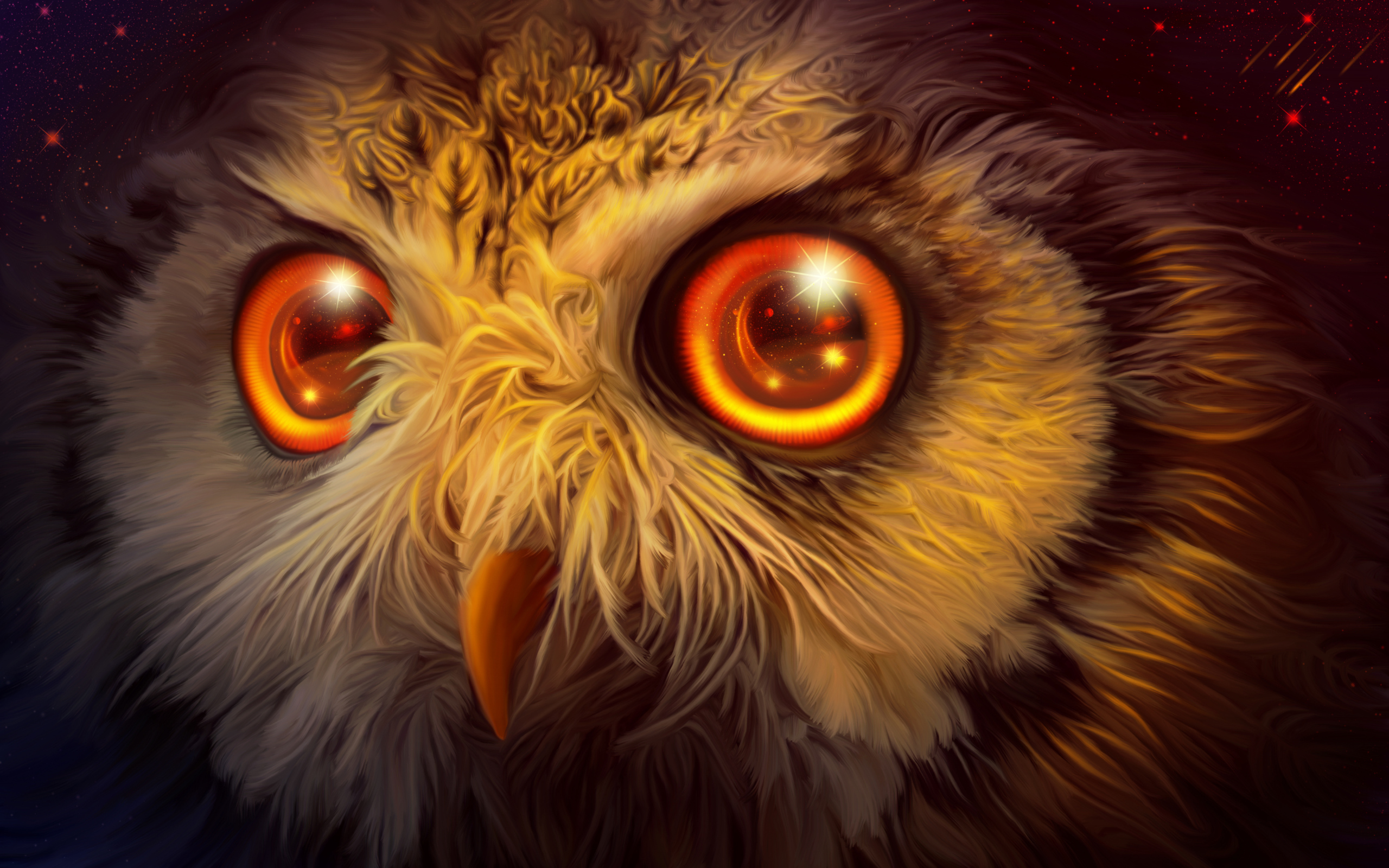 Owl Eyes Wallpapers - Wallpaper Cave, image size:2560x1600
