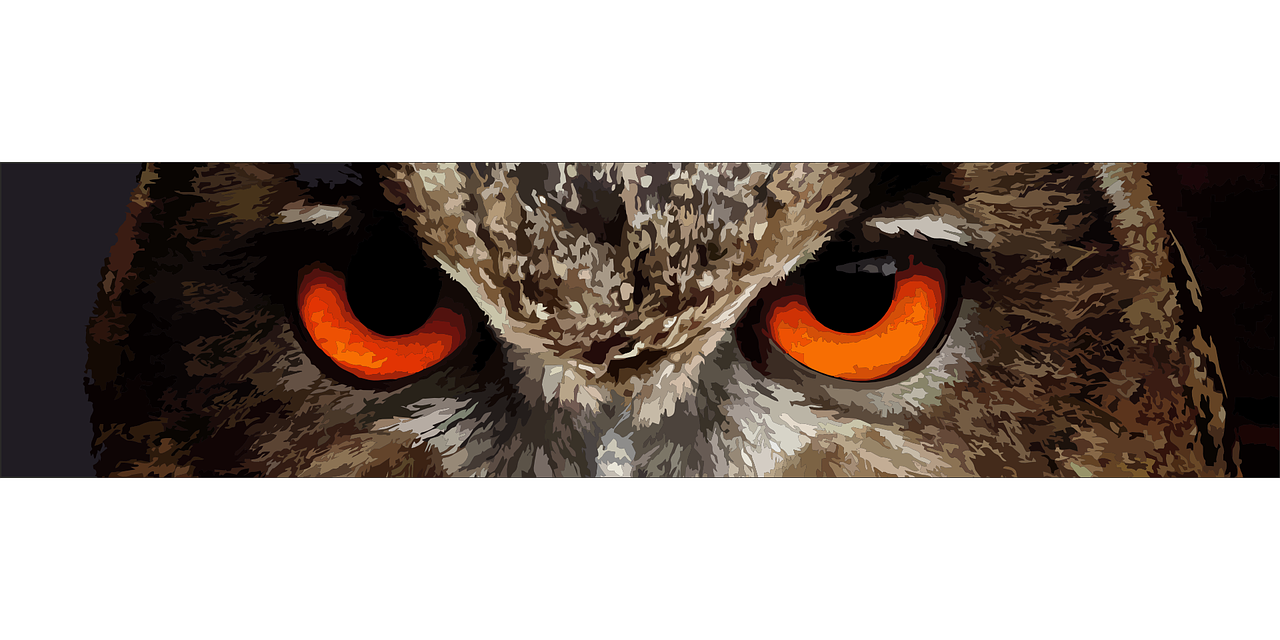 50,Free Owl Eyes & Owl Image