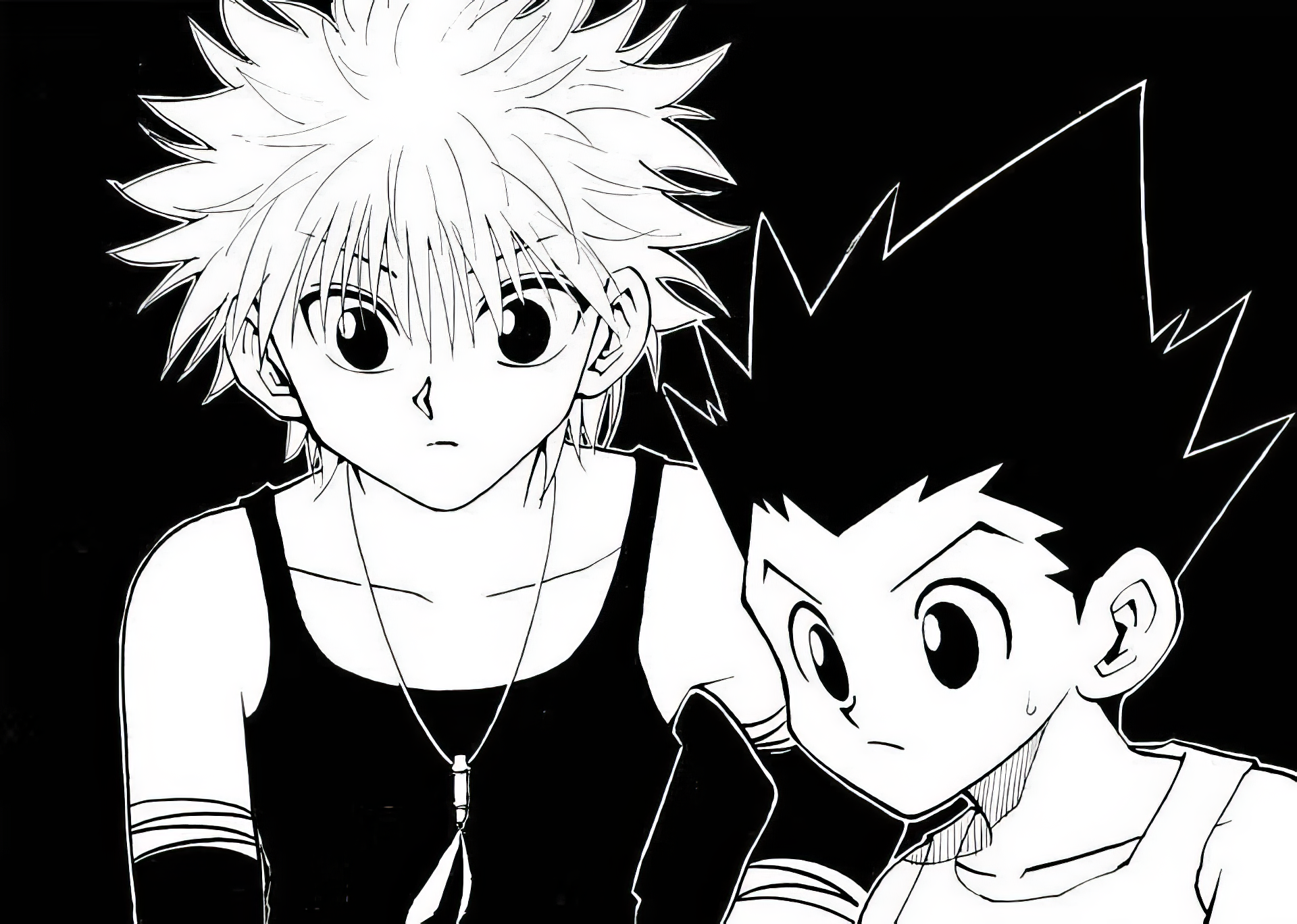 Gon and Killua from Hunter x Hunter