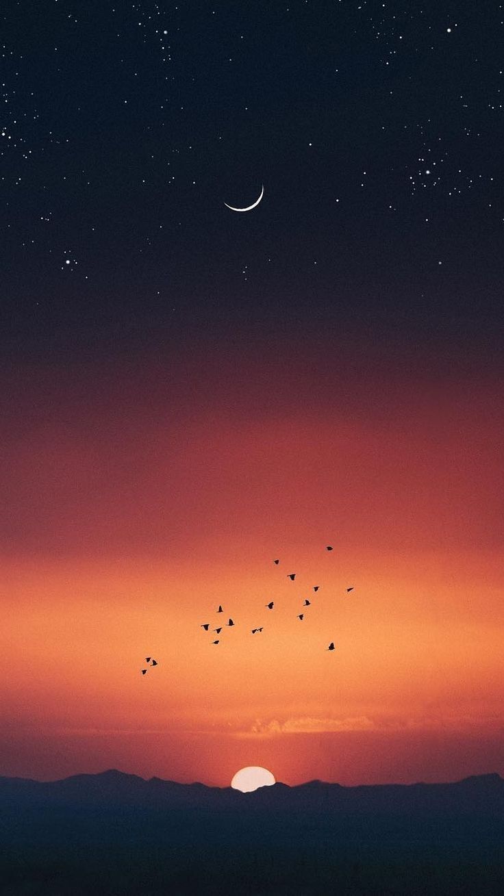 Cute Wallpaper ♡ DA1