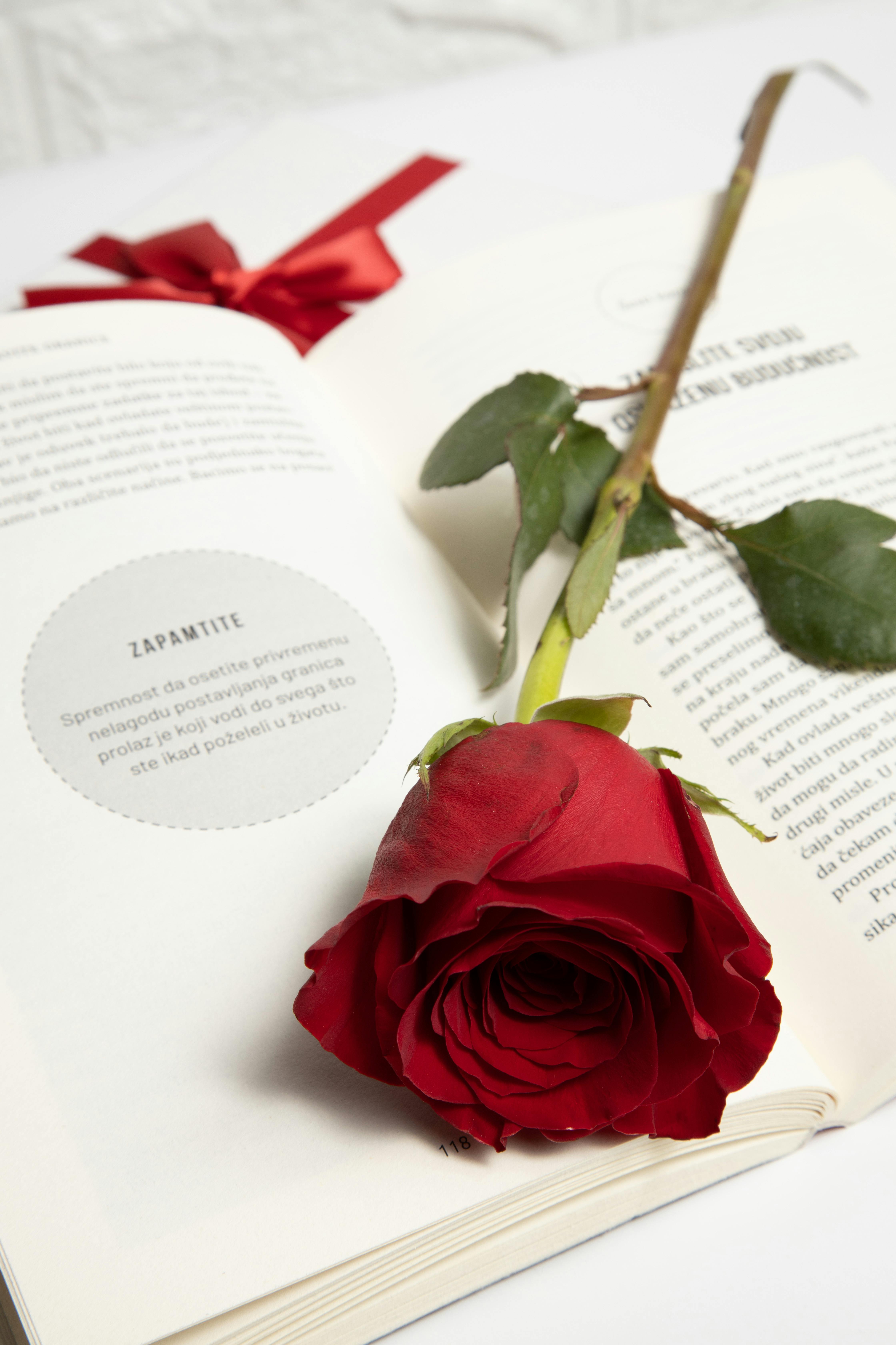 Red Rose on Book · Free
