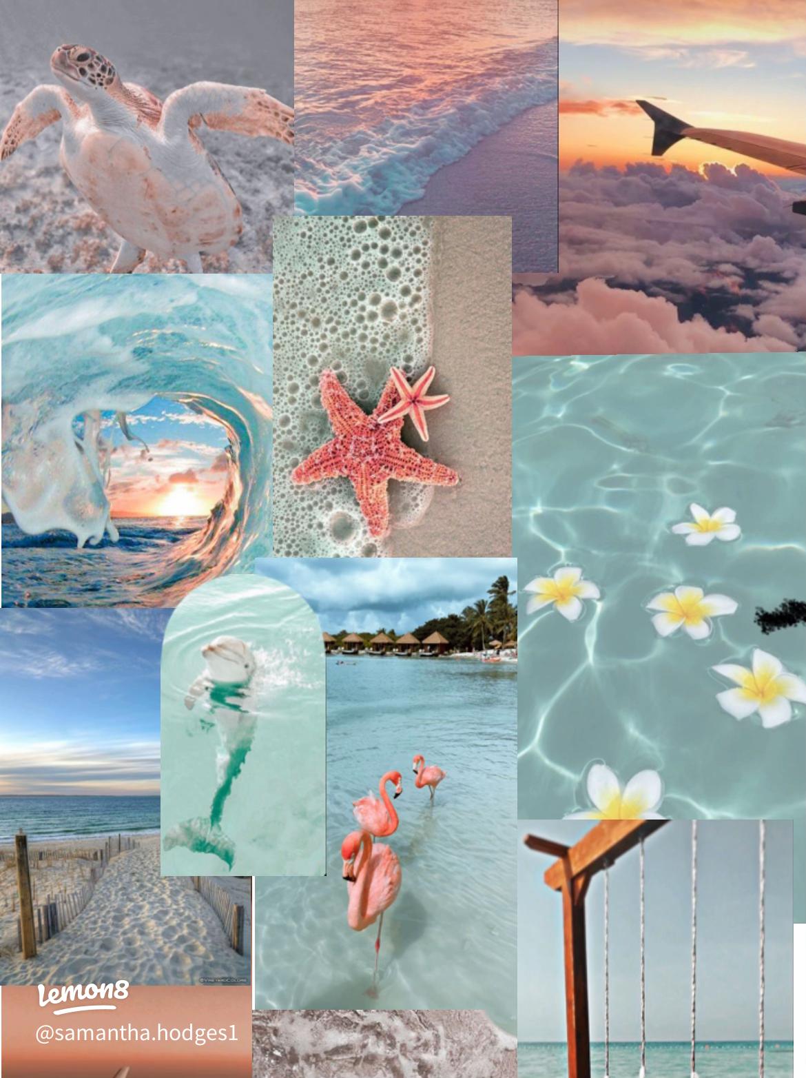 Beach Themed Summer Wallpaper Ideas