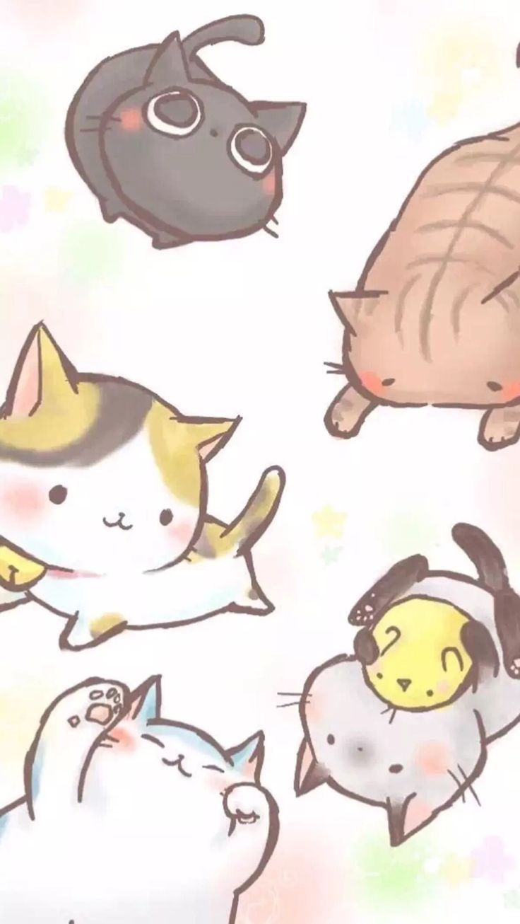 cat wallpaper