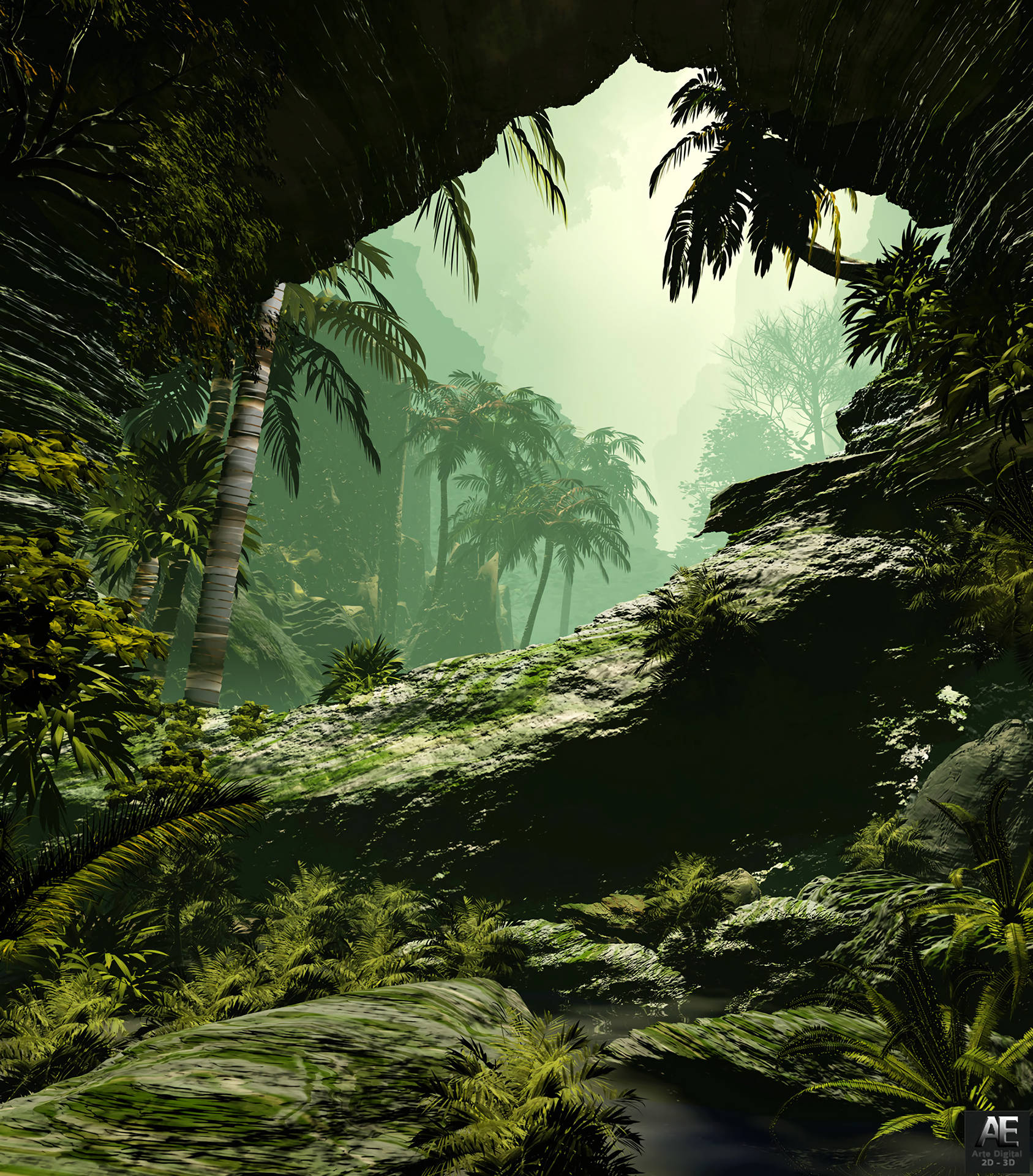 Foggy Jungle Wallpaper