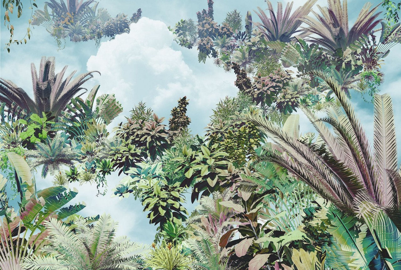Jungle & Tropical Wallpaper