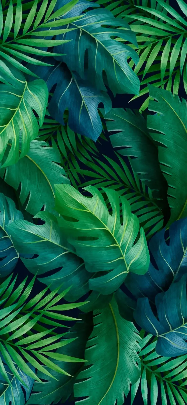 Most Popular Green Monstera Leaf Wallpaper