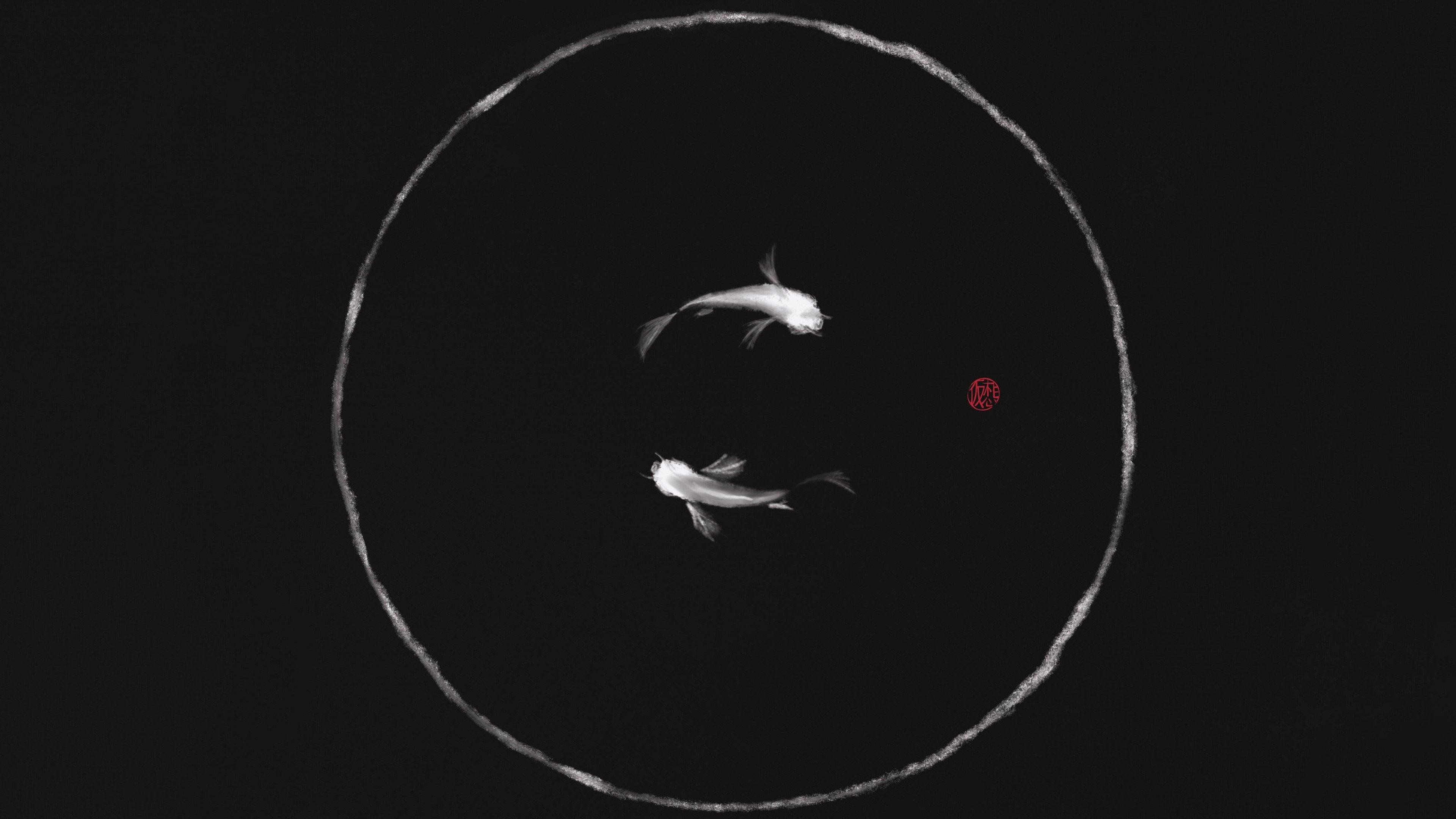 Black Koi Fish Wallpaper Free