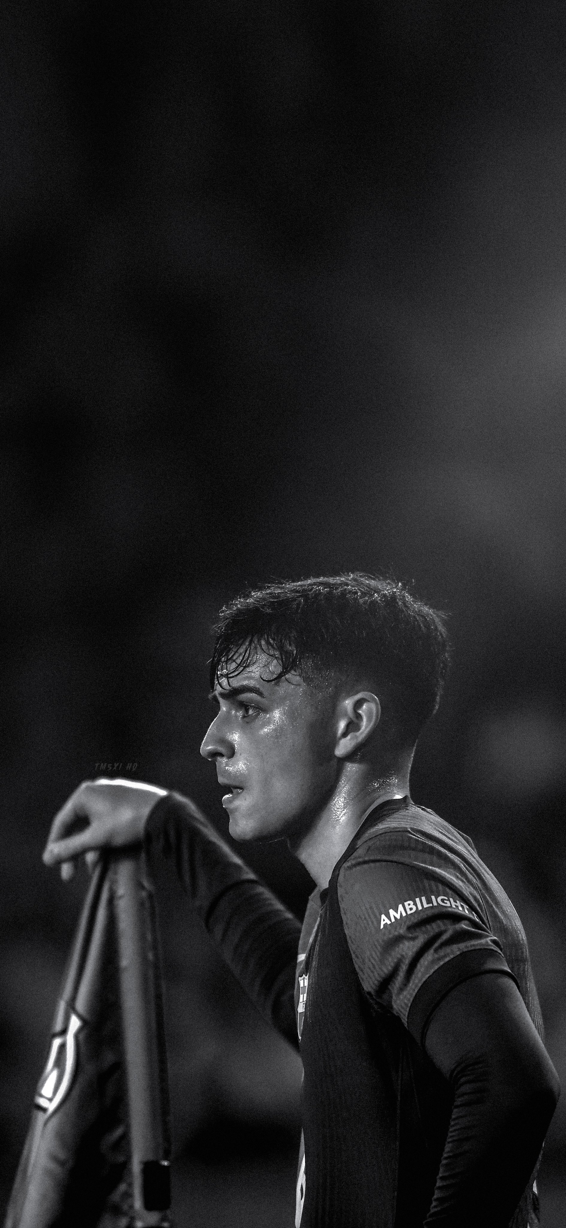 TM5XI HQ Wallpaper, Pedri