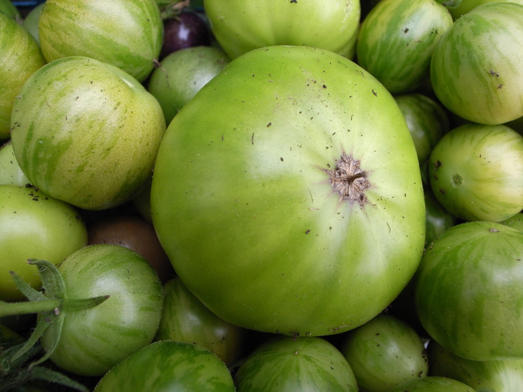 Funny shaped vegetables