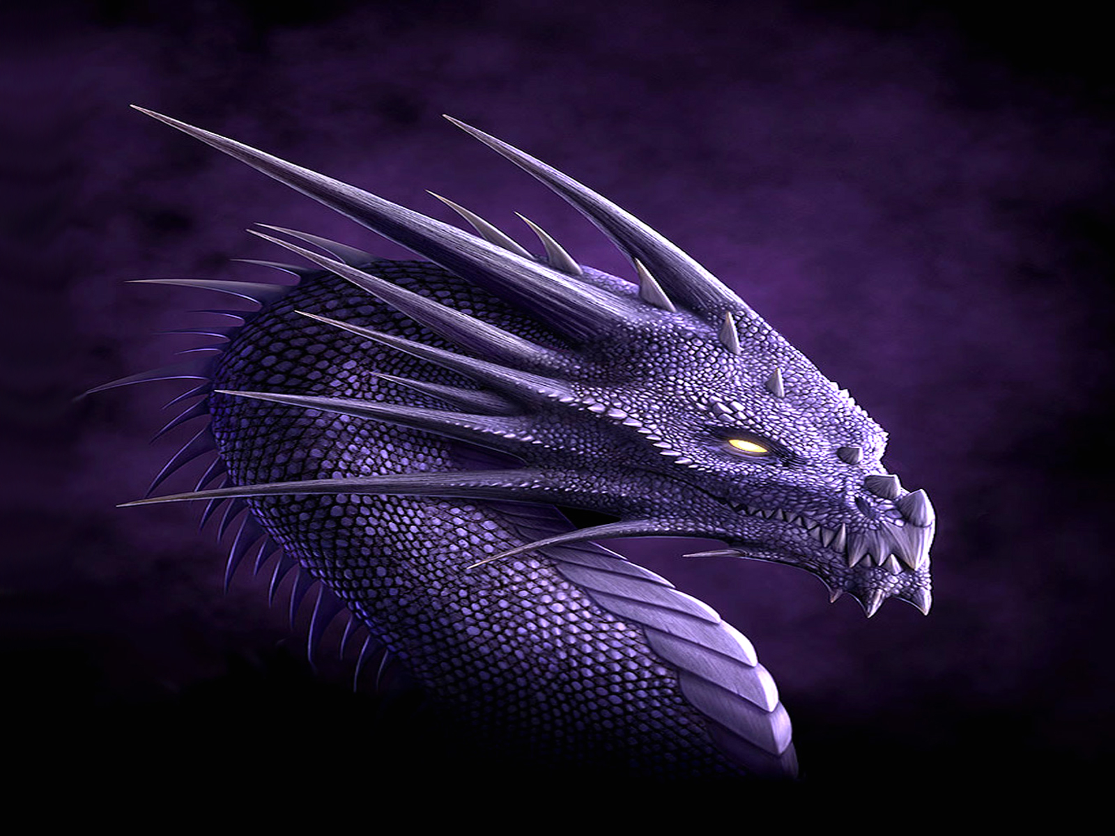Purple Fantasy Dragon HD Wallpaperx1200