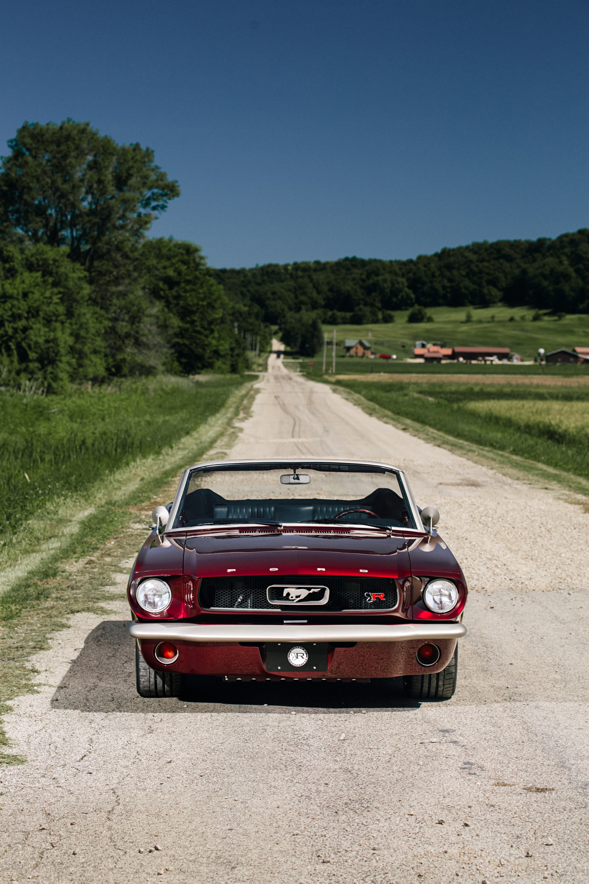 Ford Mustang Convertible CAGED