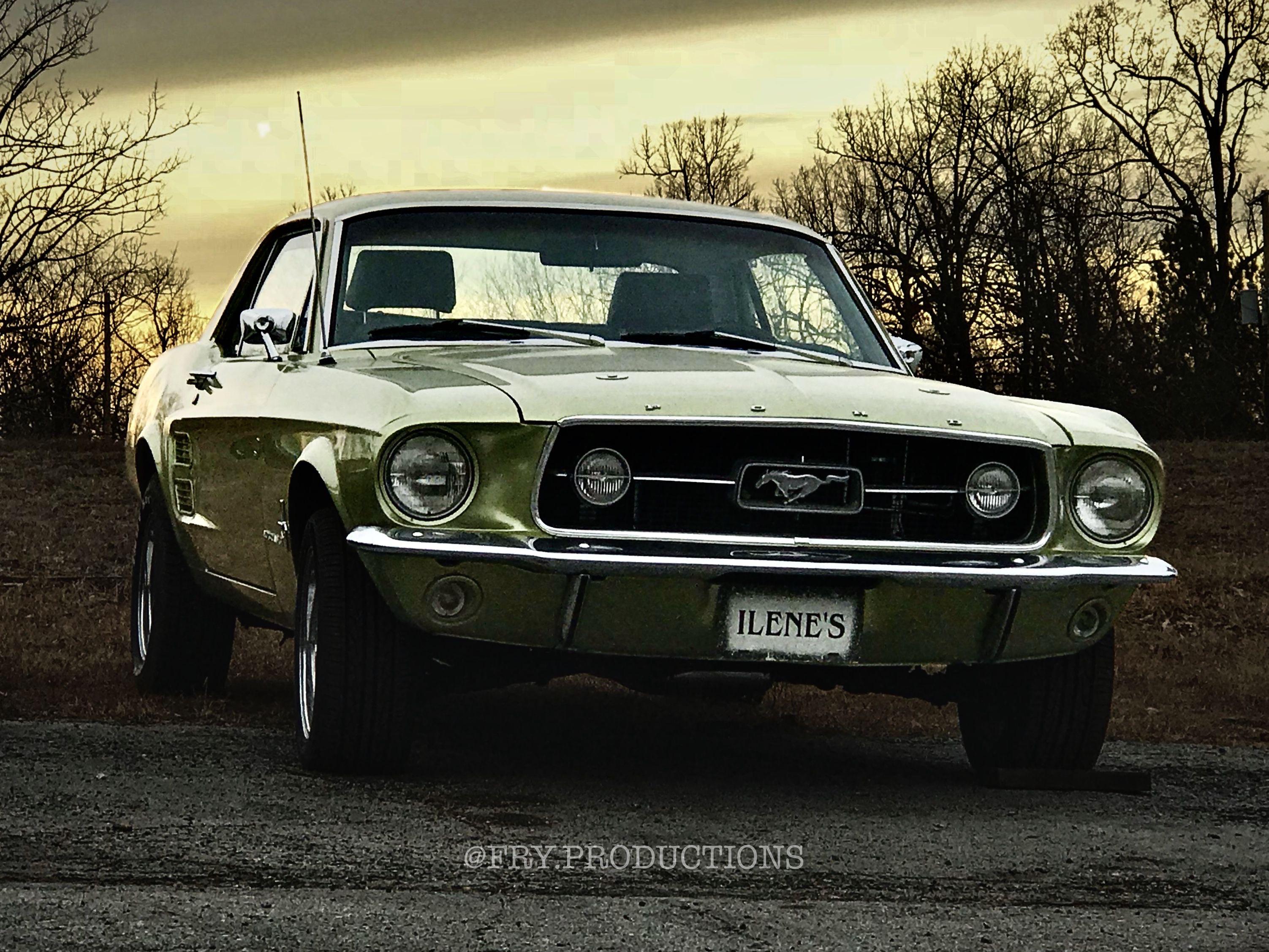 Here is a 1960s Mustang I took a picture of a while back, enjoy!