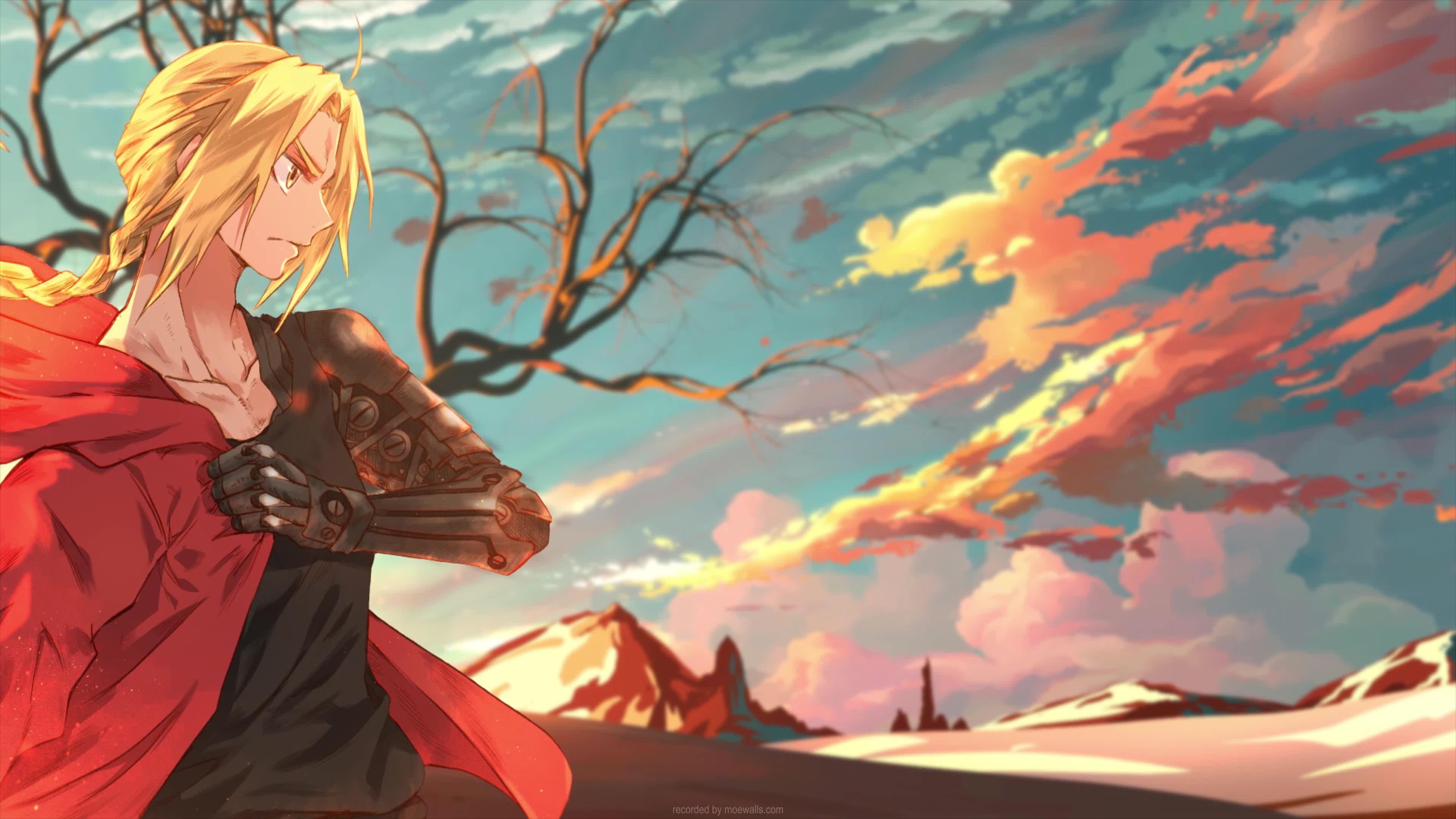 4K Edward Elric Fullmetal Alchemist