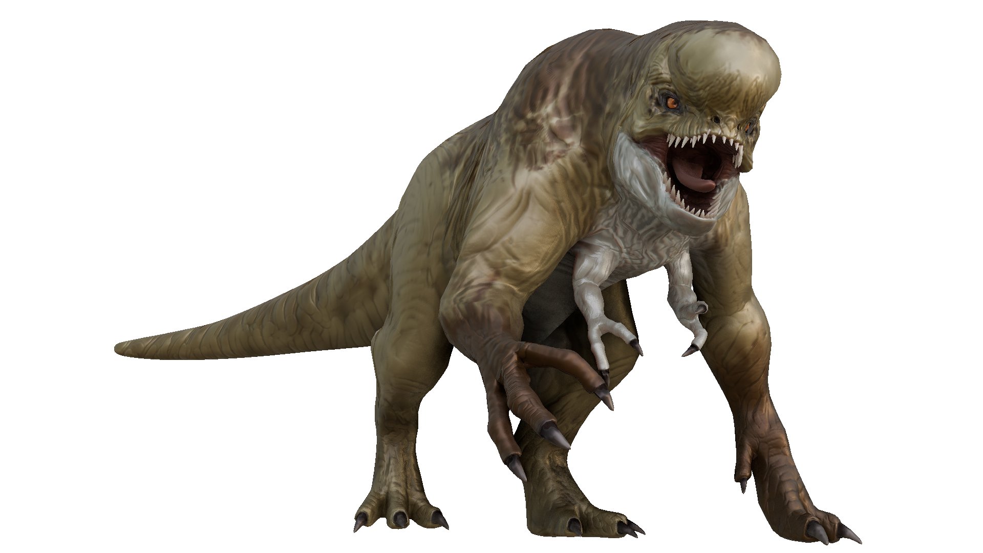 AGN rex