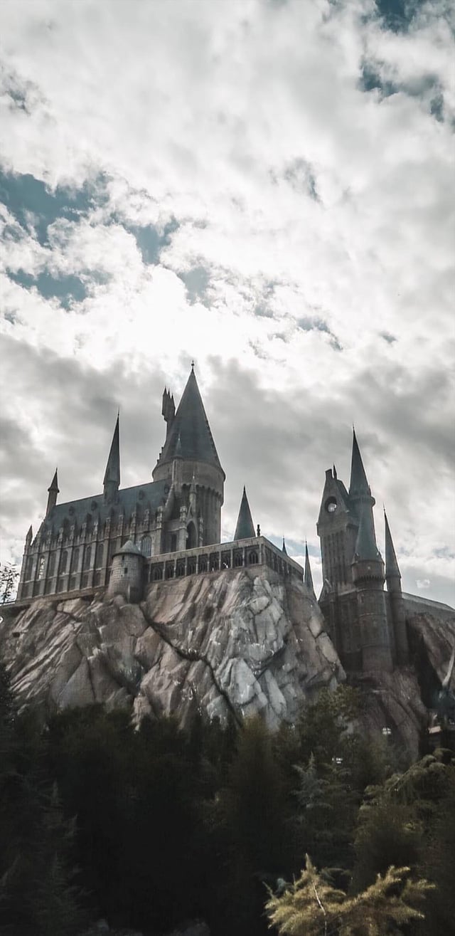 Is there a Hogwarts Wallpaper like this? How it shifts from normal Hawkins to the upside down Hawkins, and they're the same image? I'd love that for Hogwarts, where it goes from