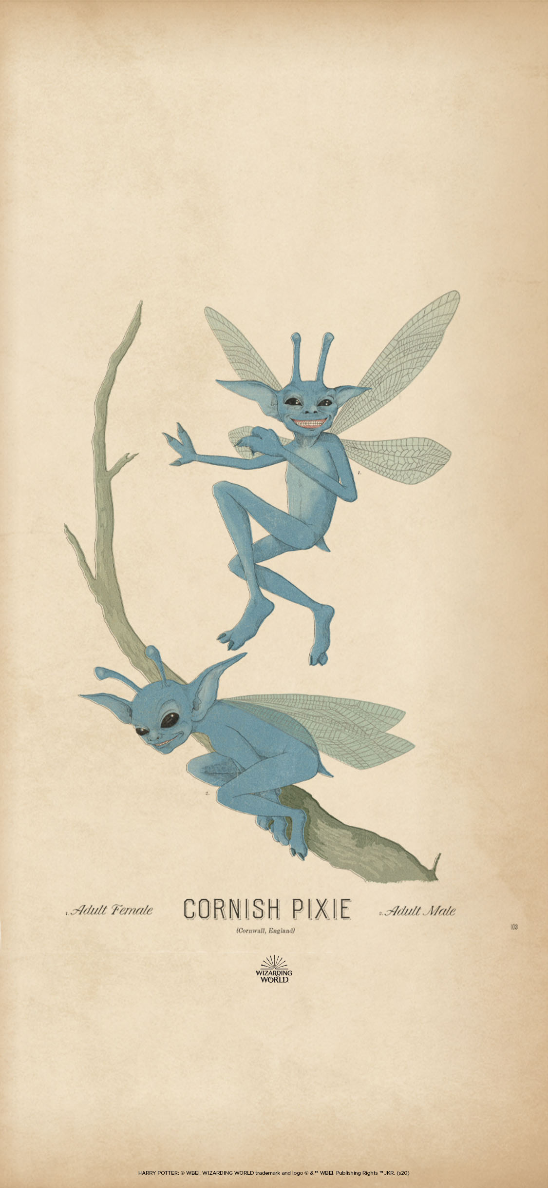 Download Hagrid's Magical Creatures