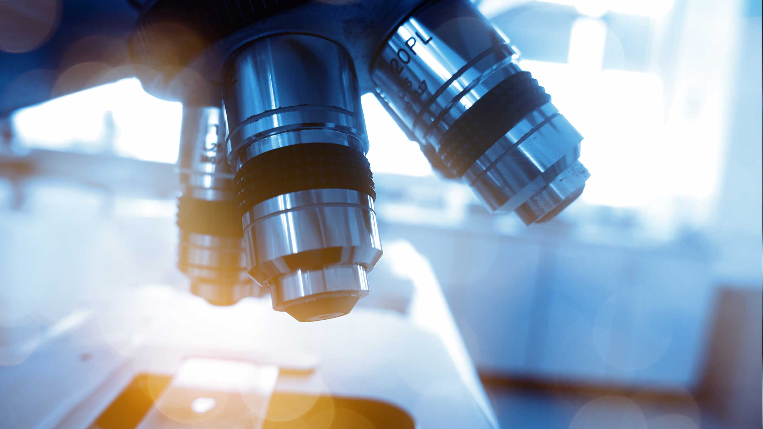 Pathology. Diagnostic Laboratory