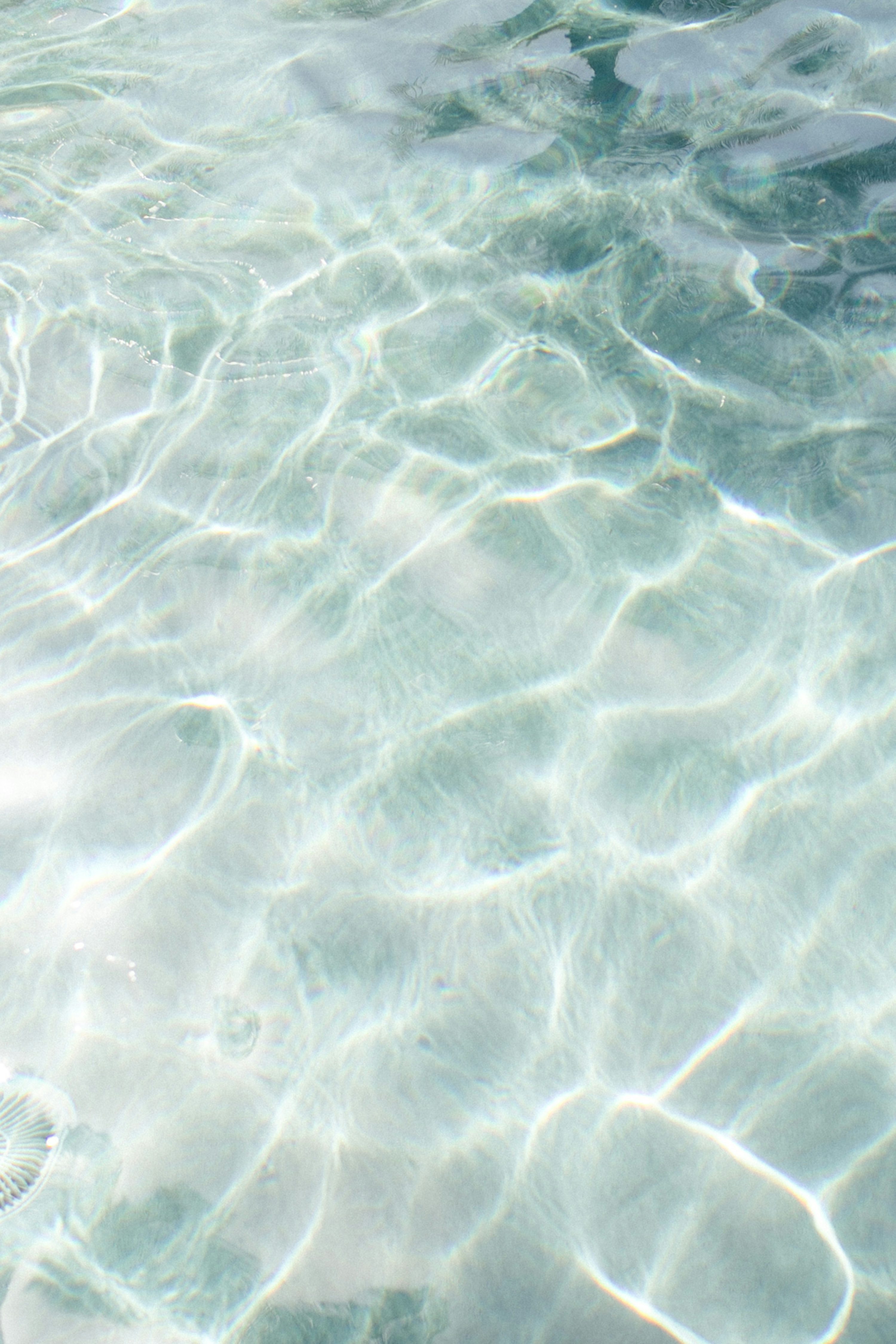 Summer Aesthetic Picture
