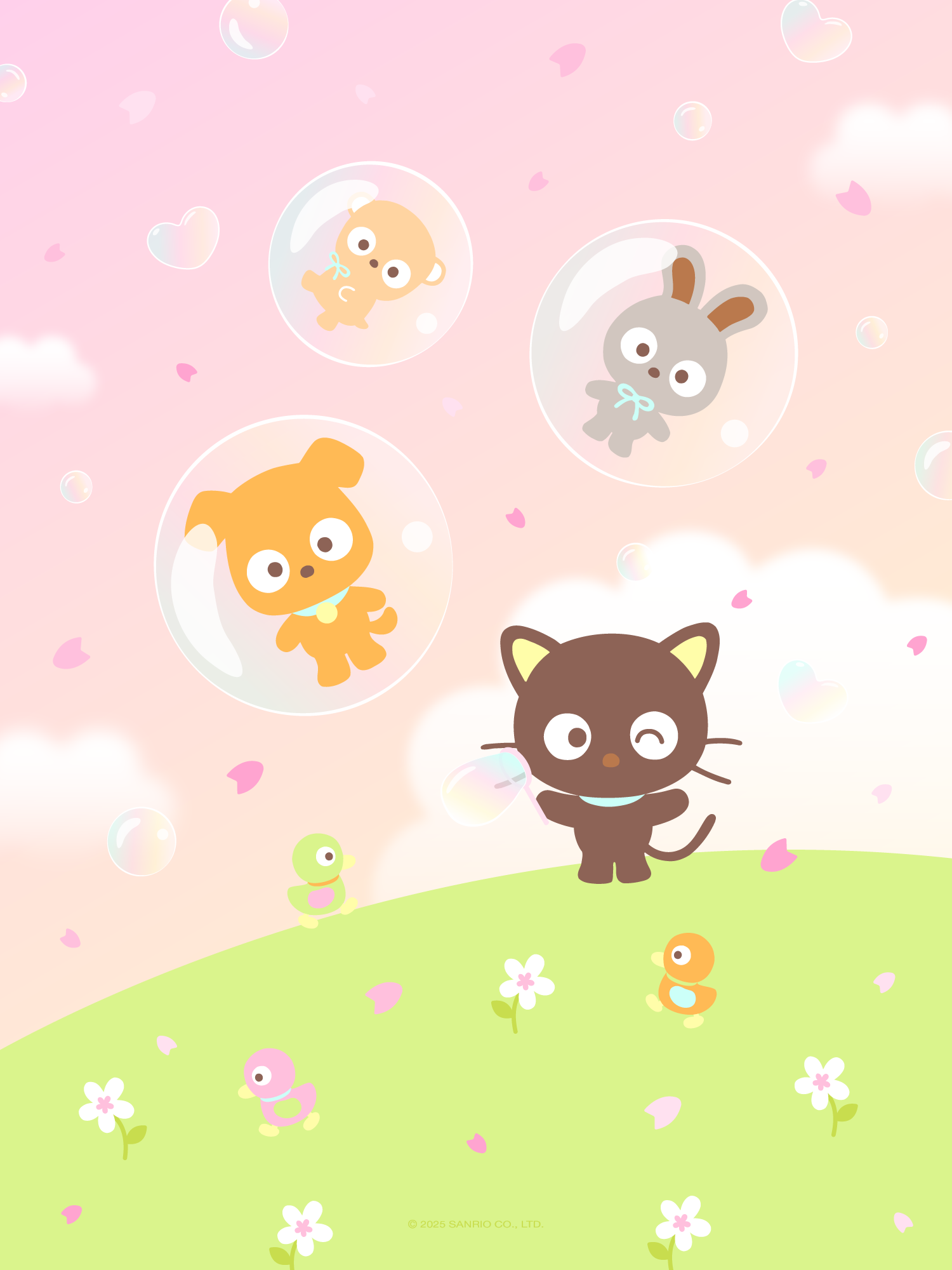 CHOCOCAT
