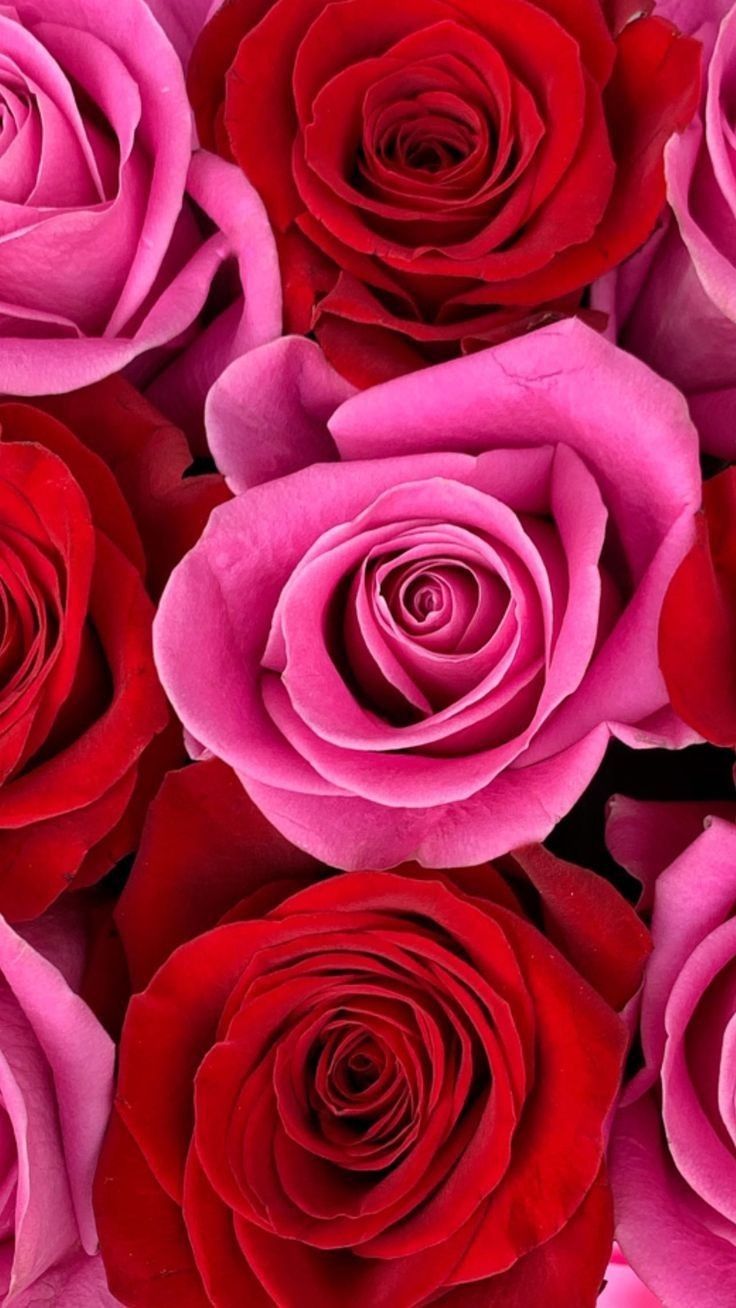 Pink And Red Spring Wallpapers - Wallpaper Cave