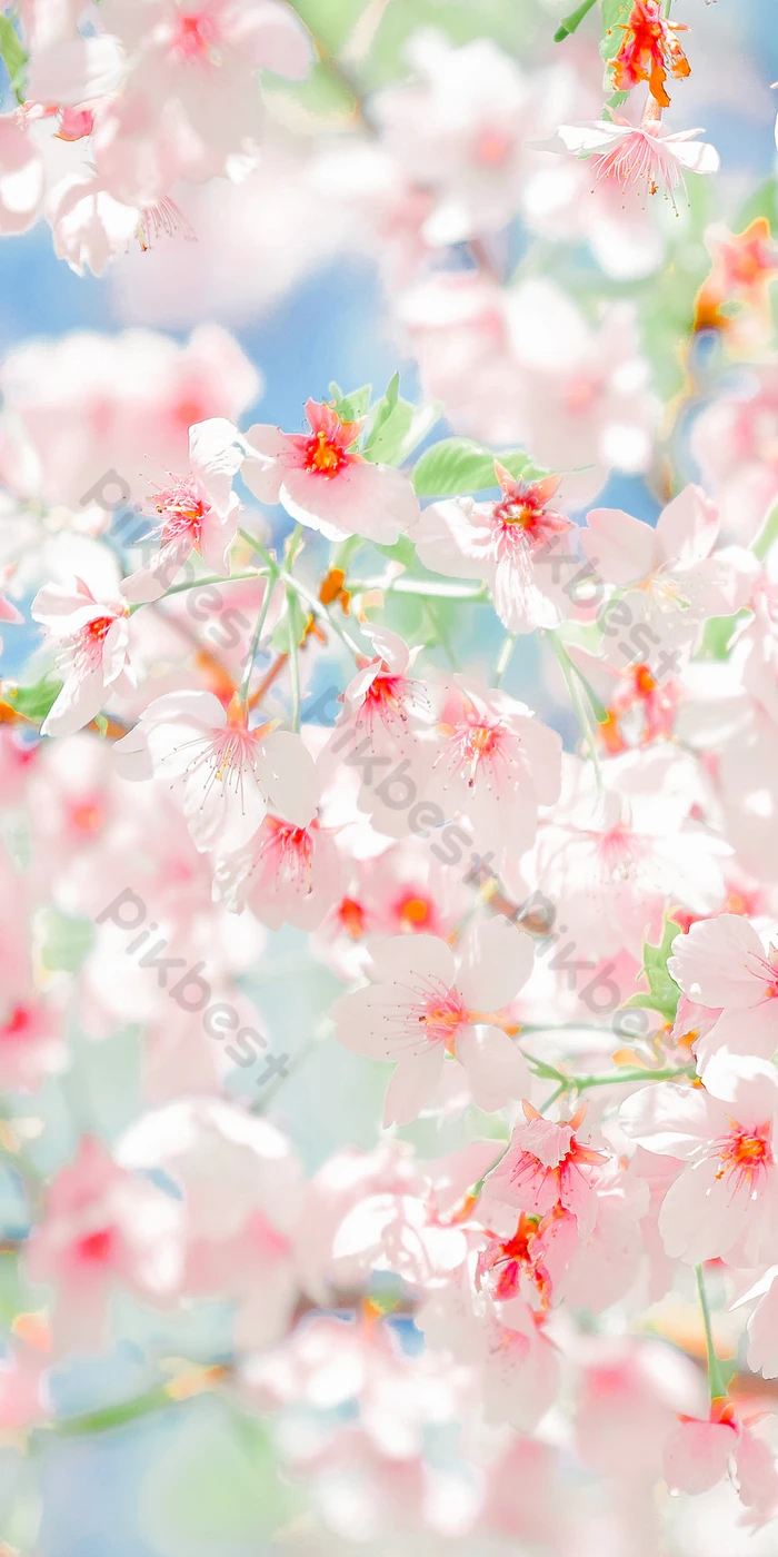 Pink And Red Spring Wallpapers - Wallpaper Cave