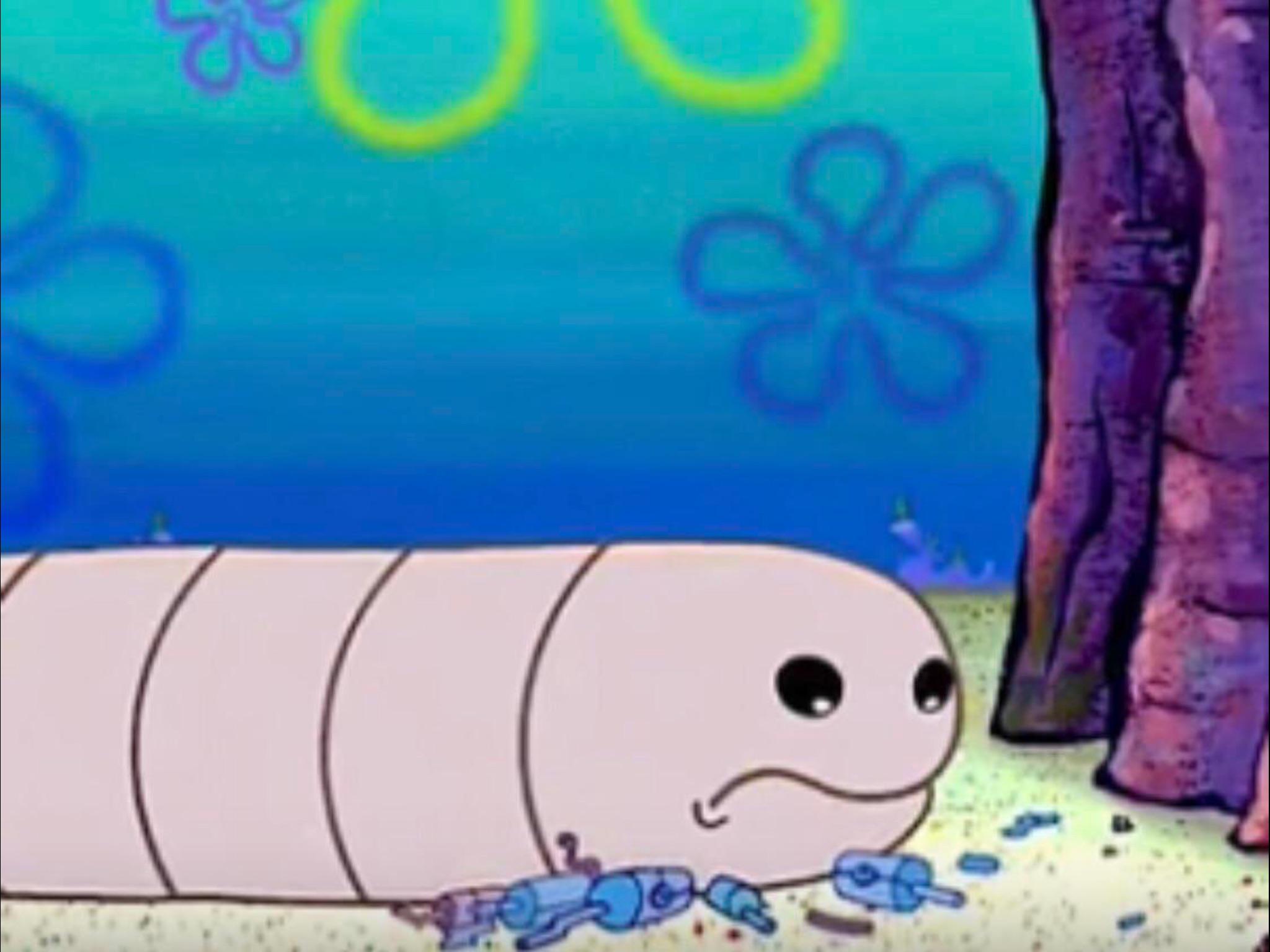 Alaskan bull worm because he is most
