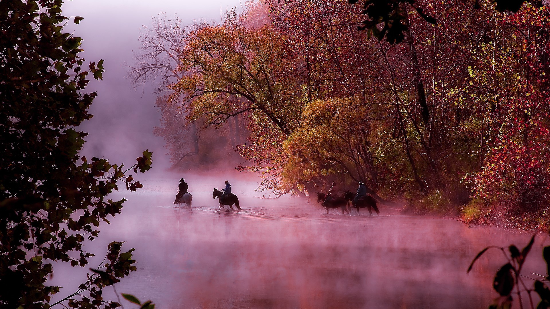 Wallpaper autumn, fog, river, morning