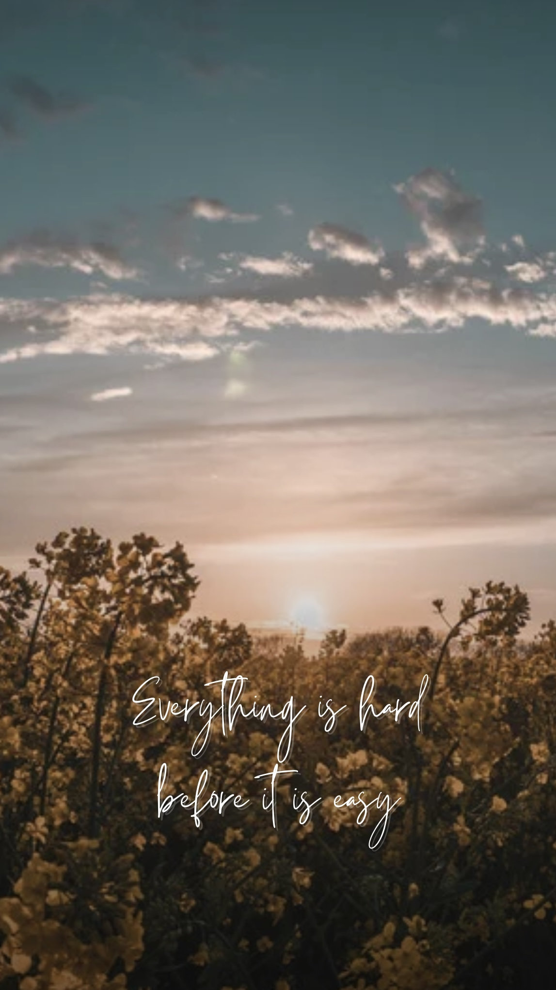 Minimalist Phone Wallpaper