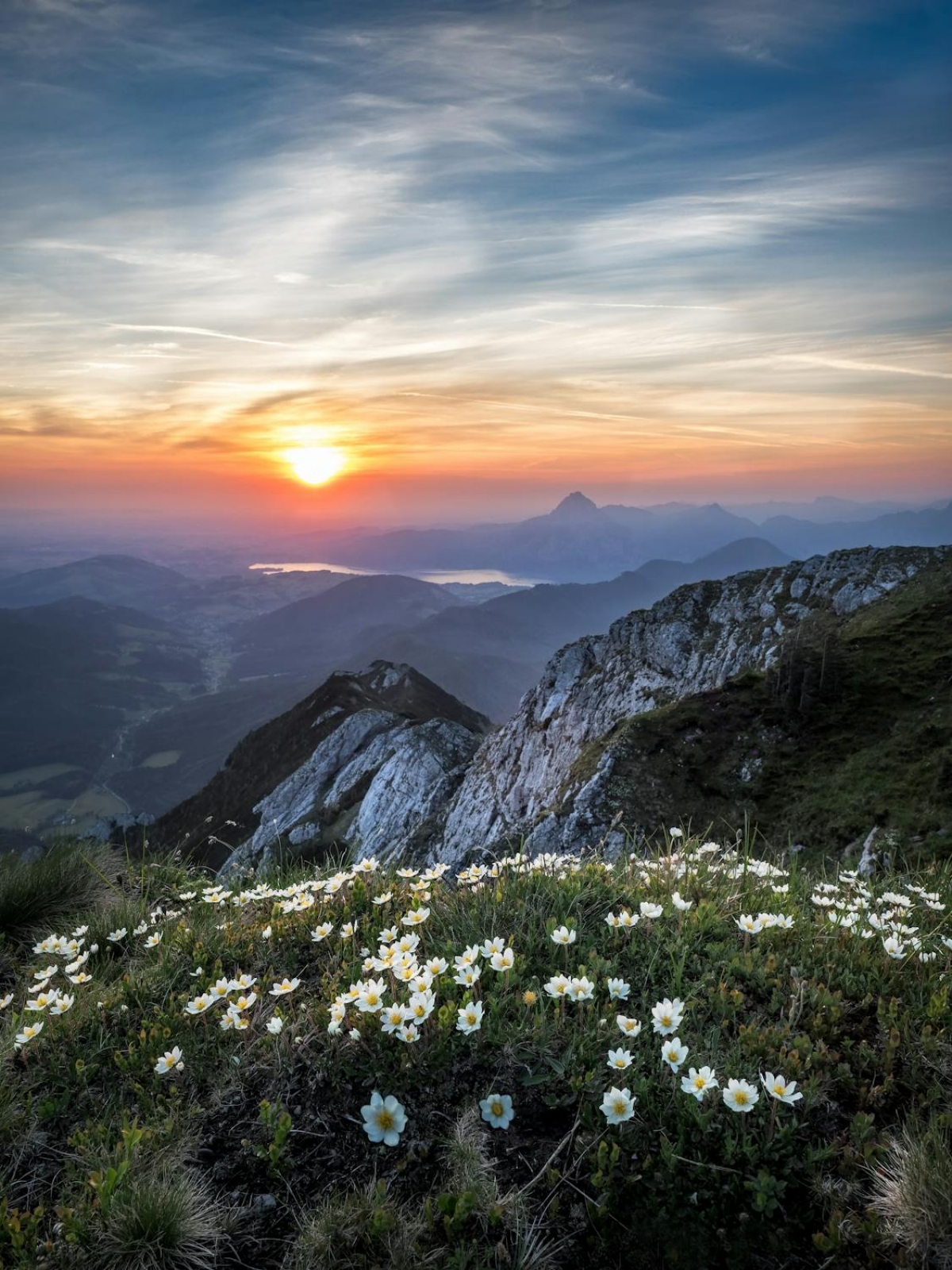 Download Free iPhone Wallpaper