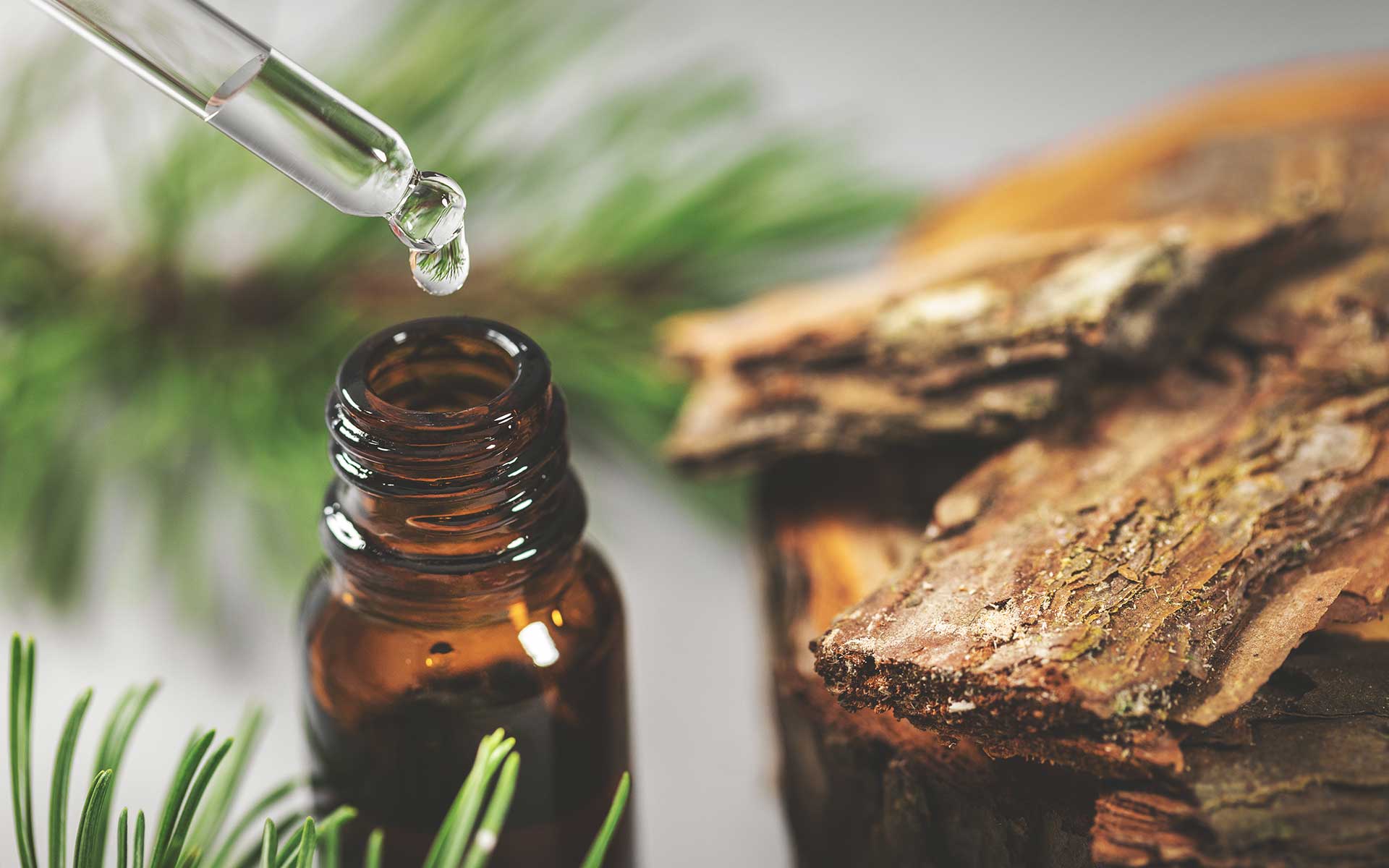 Aromatherapy & Essential Oils. Martin