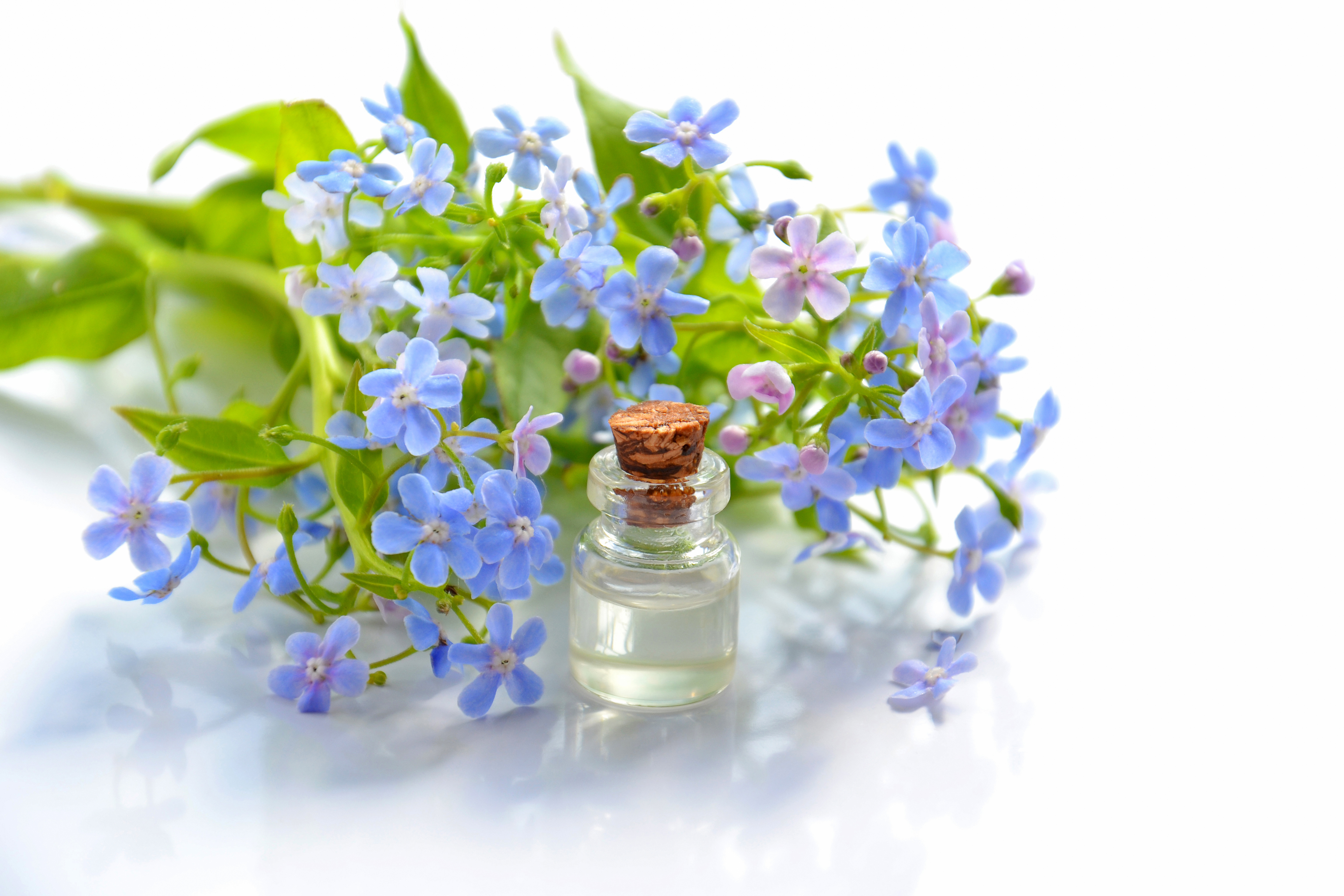 blue flowers, aromatherapy, spa