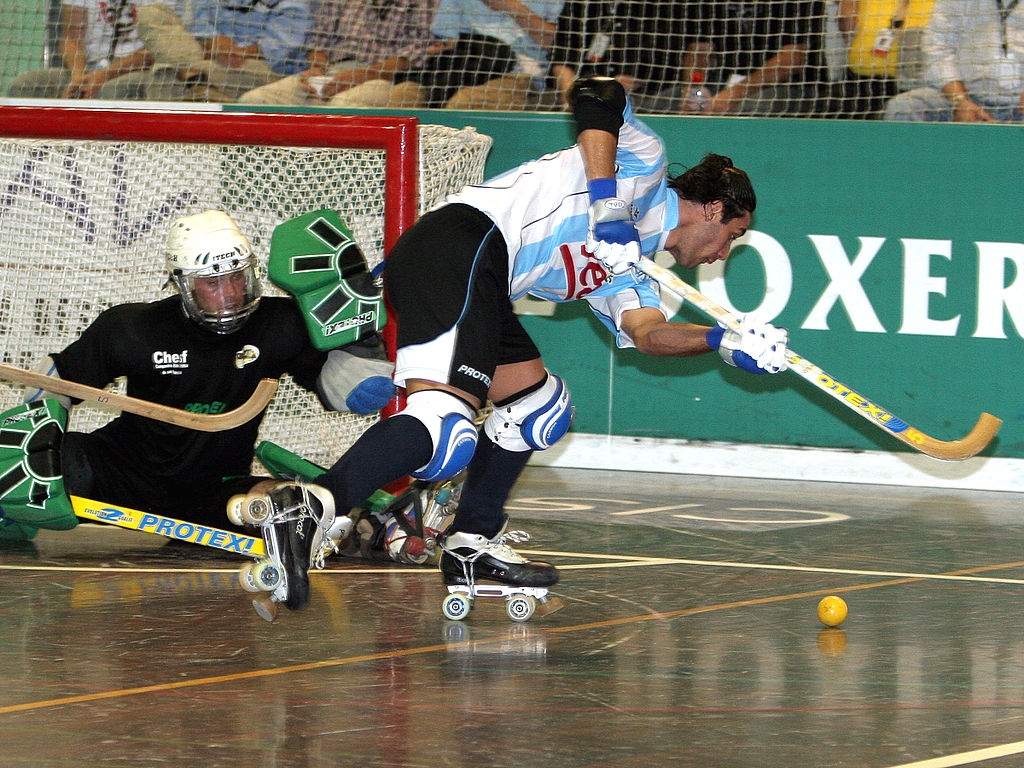 rink hockey world