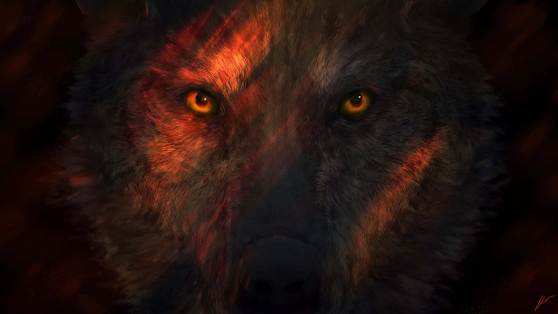 A Wolf Wallpaper