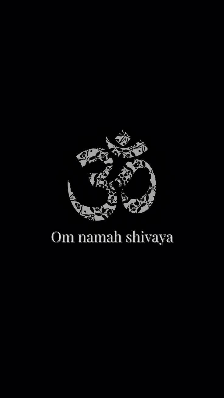 Download free Om Namah Shivaya 736 X