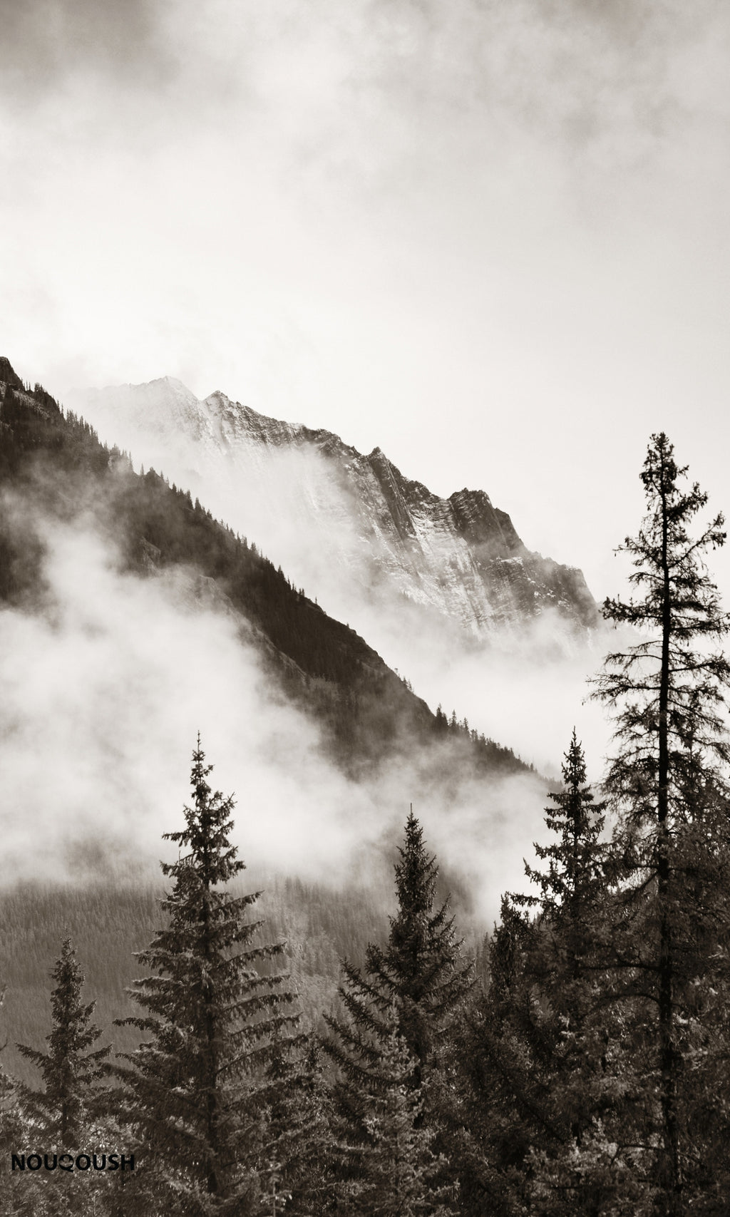 Black & White Mountain View Wallpaper