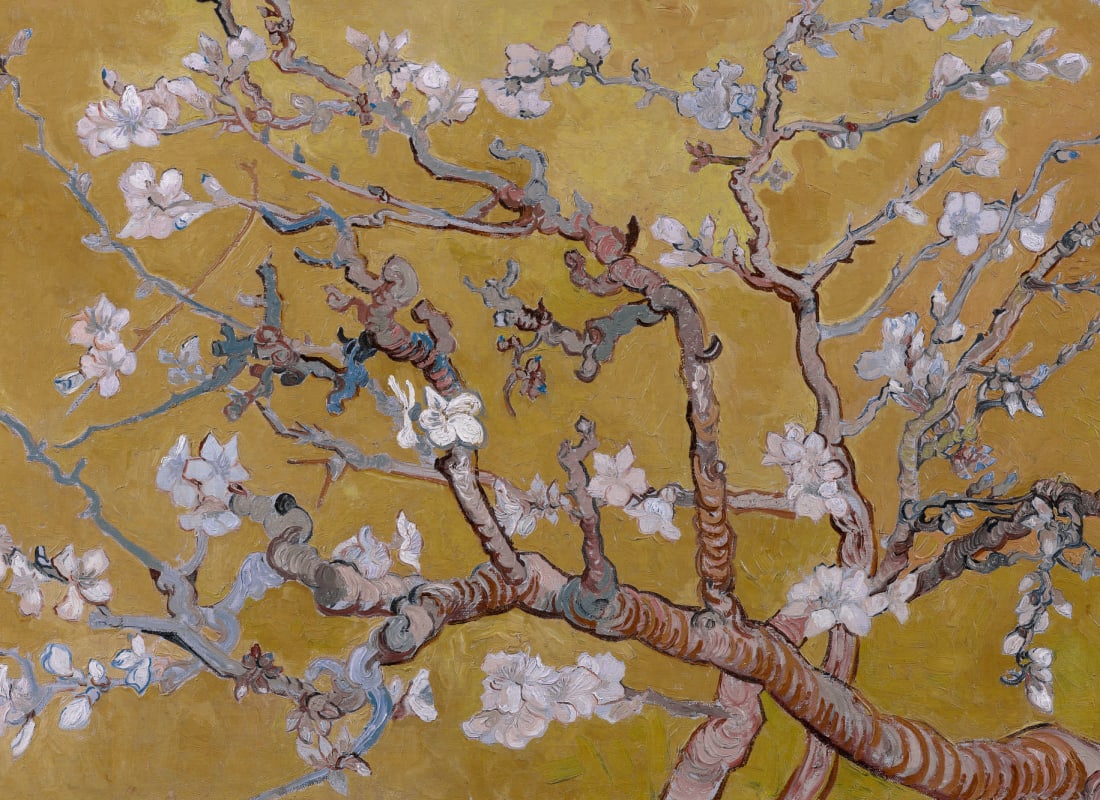 Yellow Almond Blossom Wall Mural