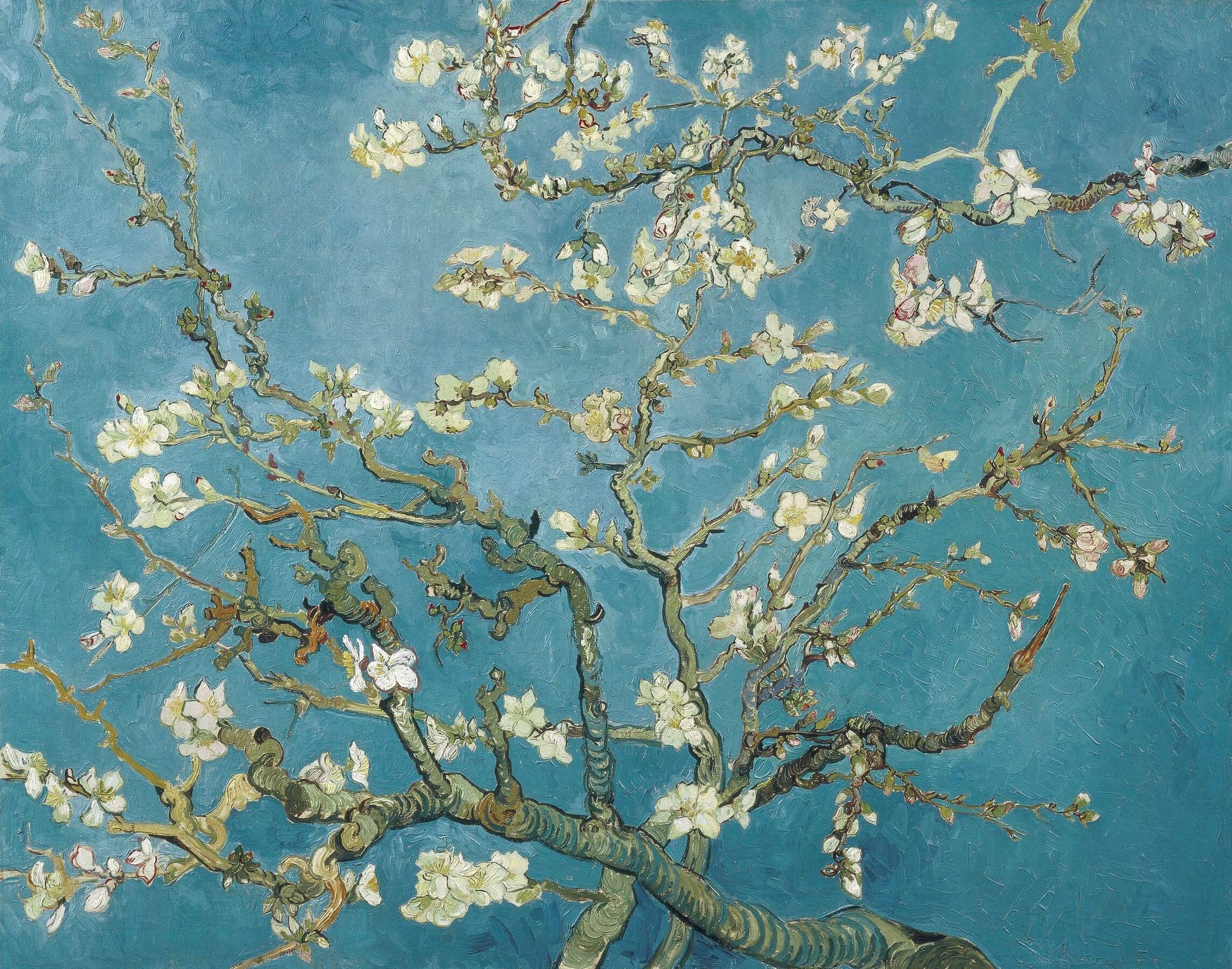 Almond Blossoms Mural Wallpaper SqM