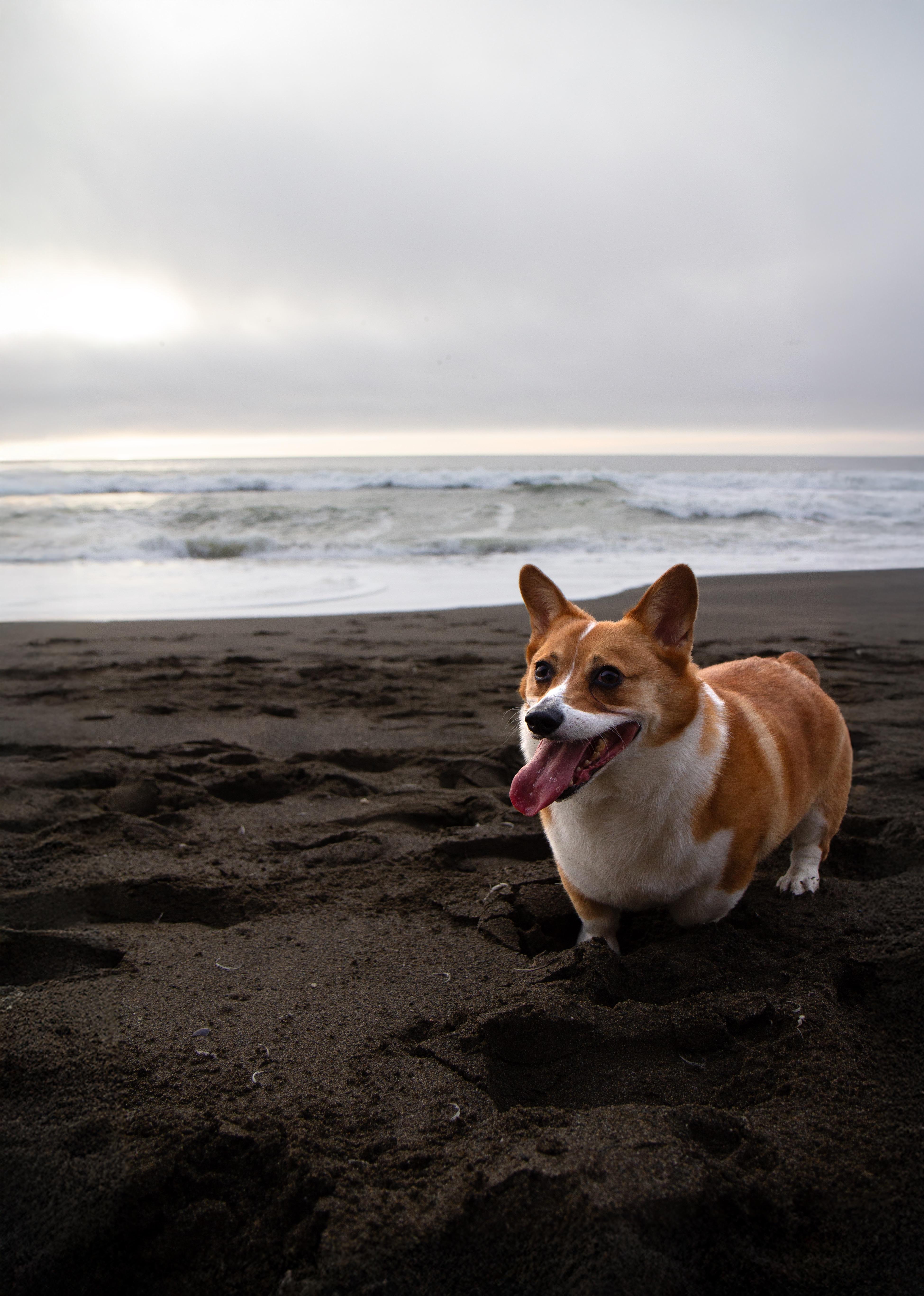 Beach day but they get increasingly
