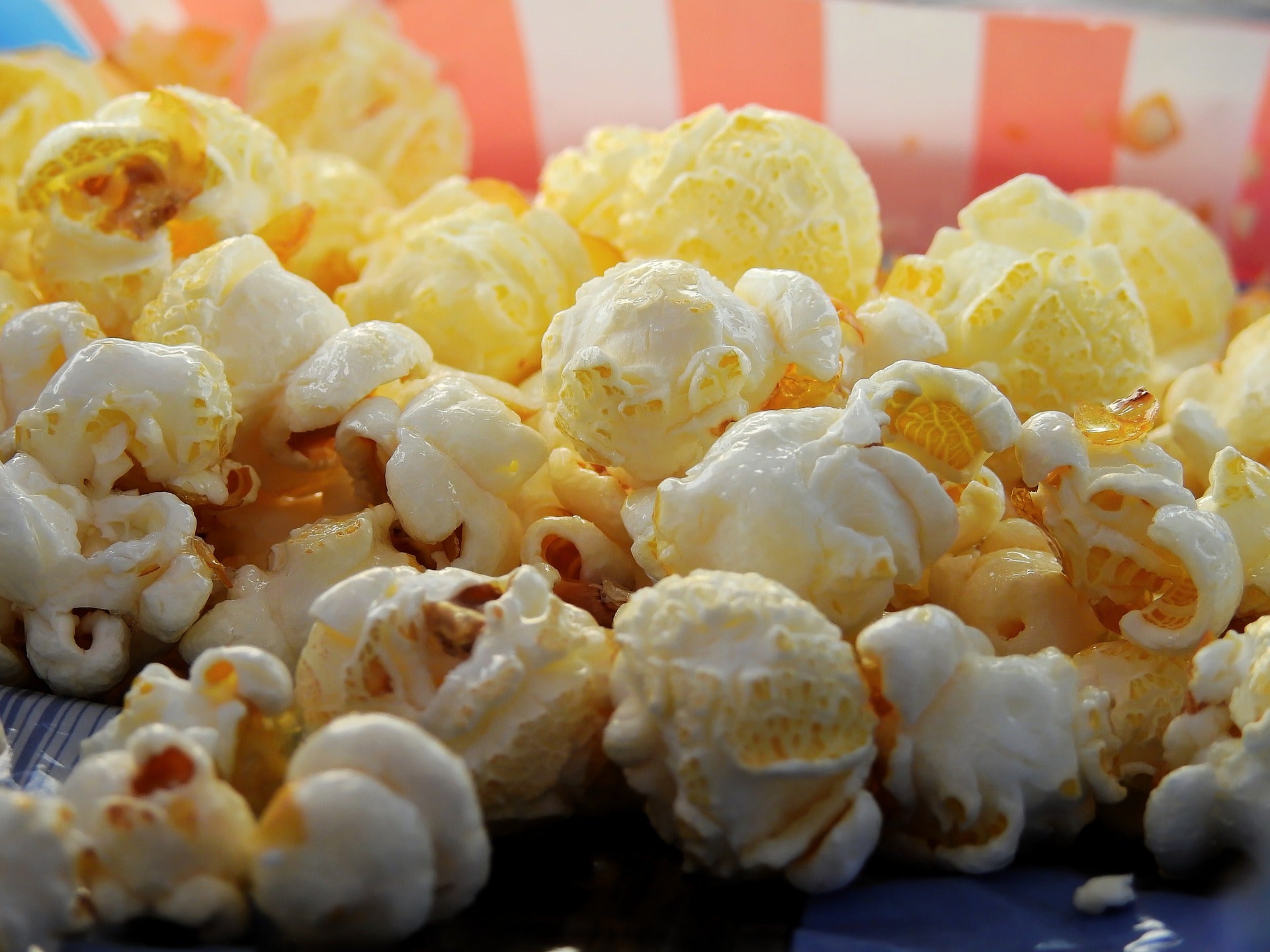of popcorn kernels