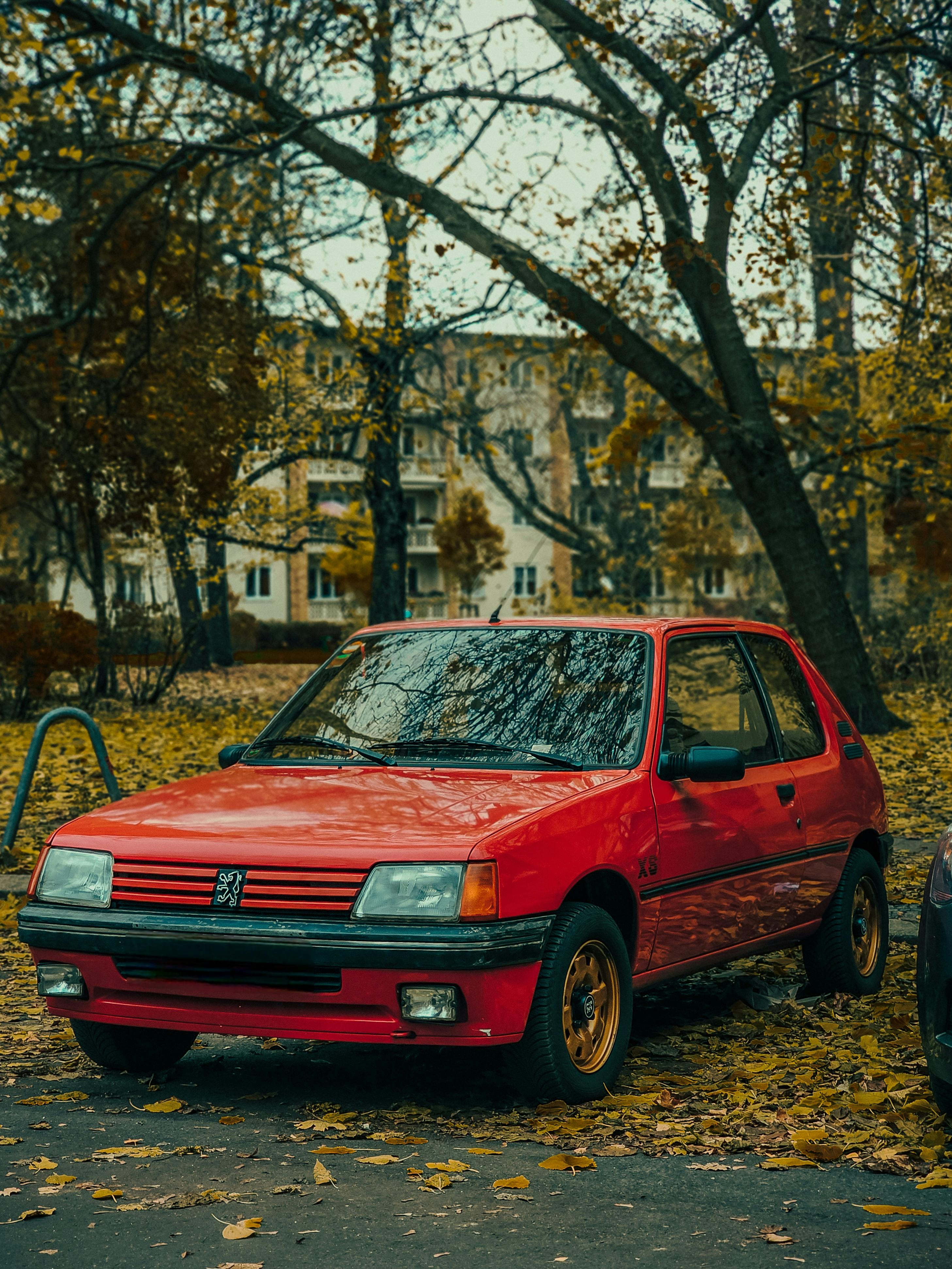 Peugeot 205 Photo, Download The BEST